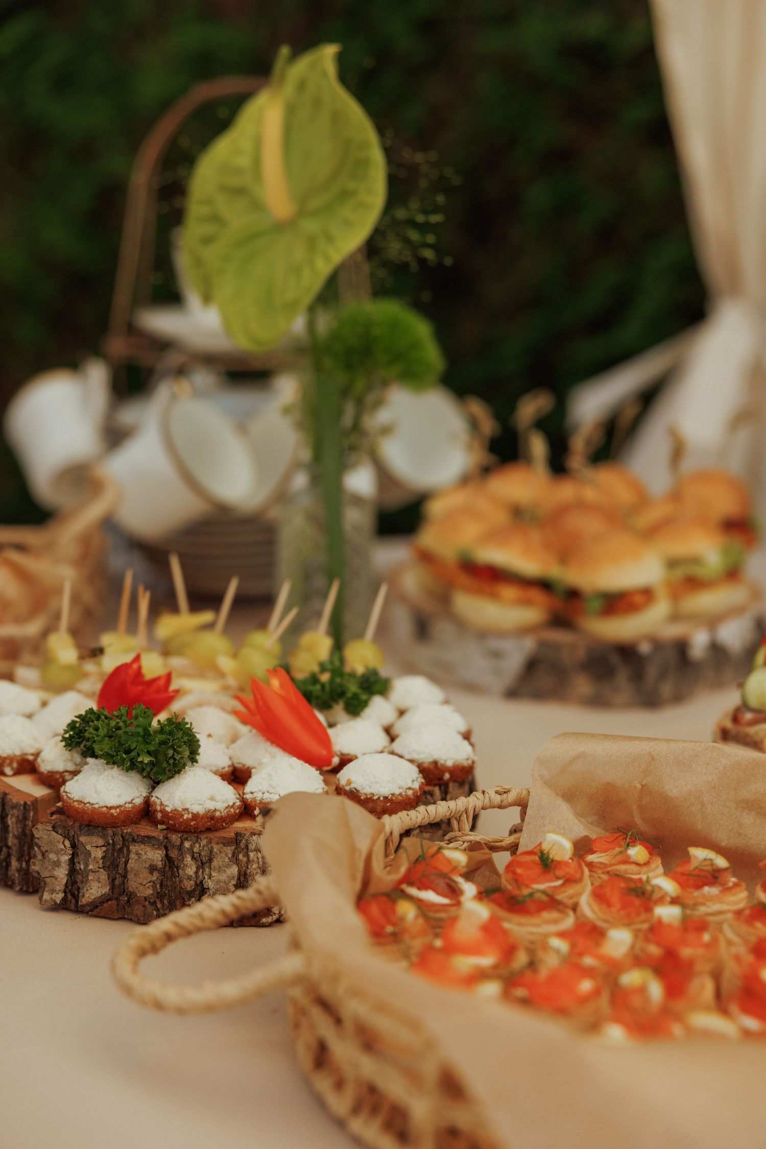 Elegant appetizer spread with canapes and hors d'oeuvres decorated with fresh herbs on white tablecloth.