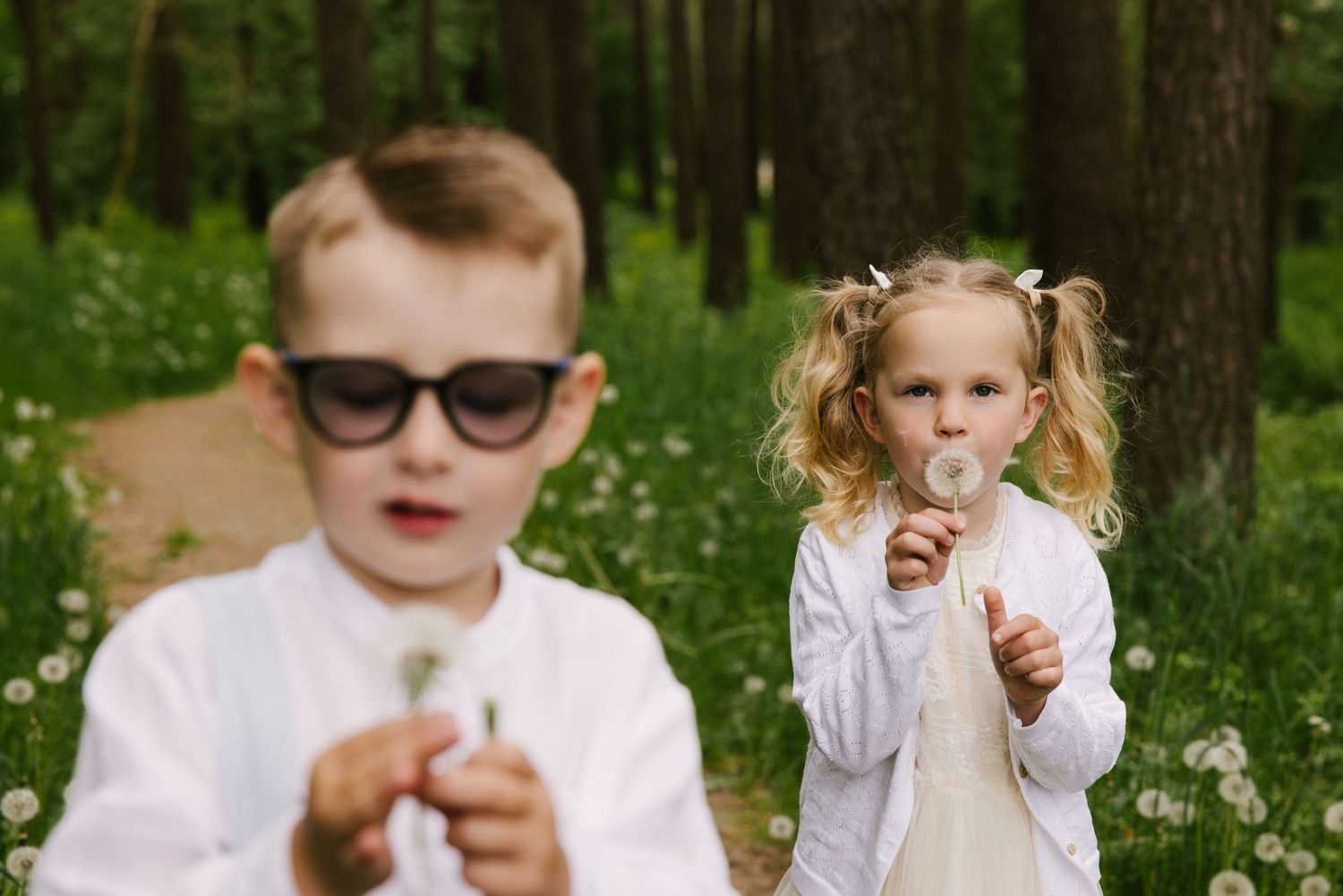 Children blowing on dandelions in field of white flowers surrounded by pine trees.