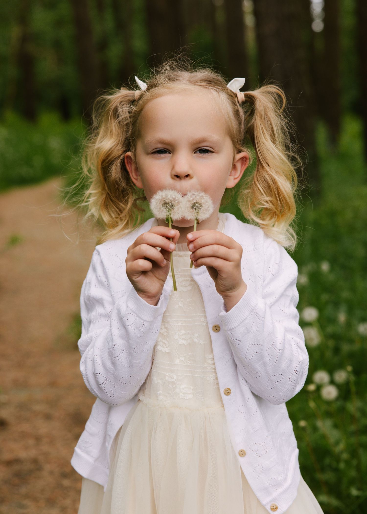 Child in white dress and cardigan playing with dandelions on a forest path in springtime.