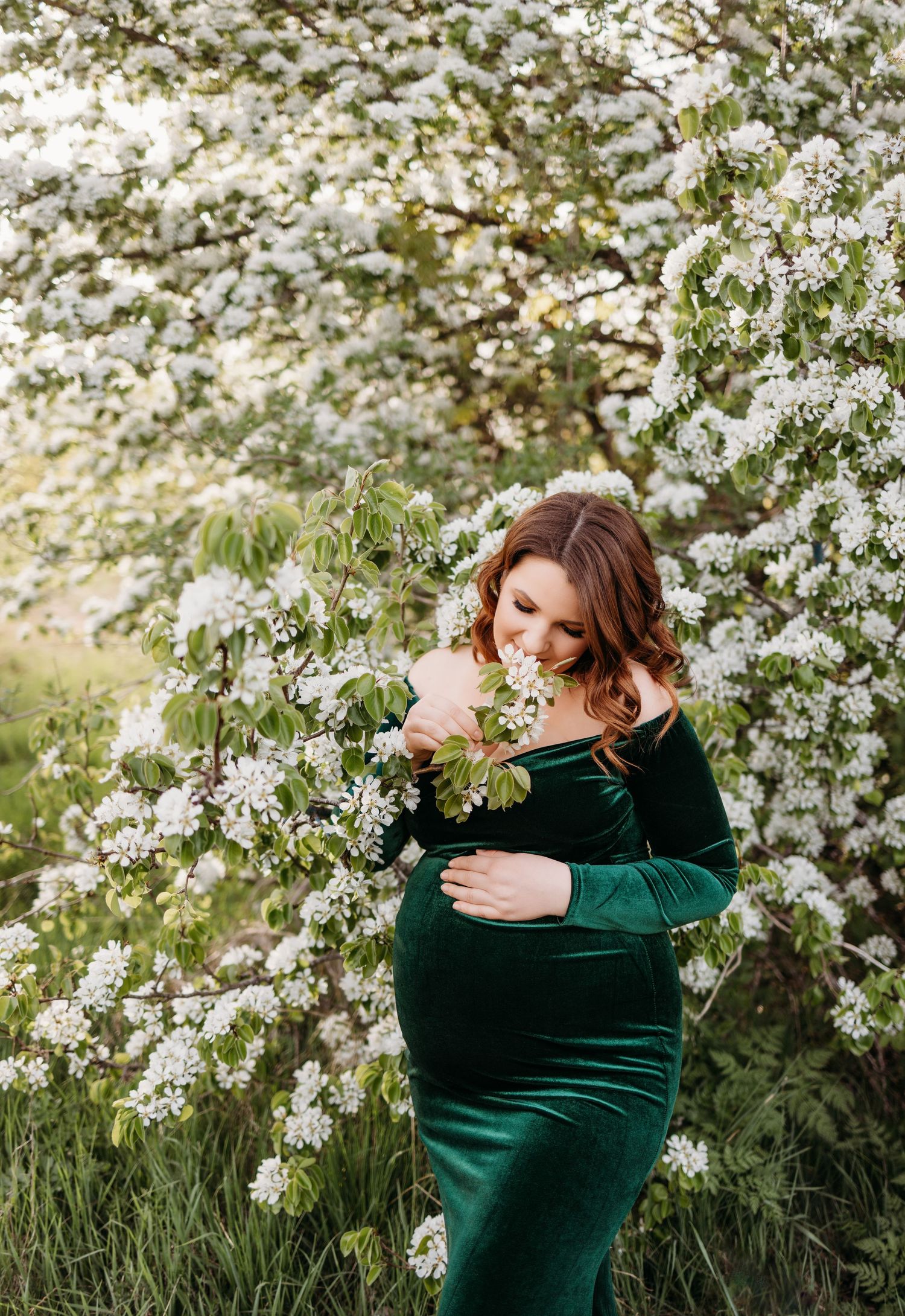 Spring maternity photos in green velvet dress among blooming white cherry blossoms.