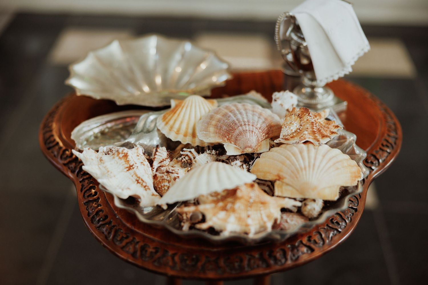 Collection of seashells and coral displayed on a decorative brown ceramic plate with ornate details.