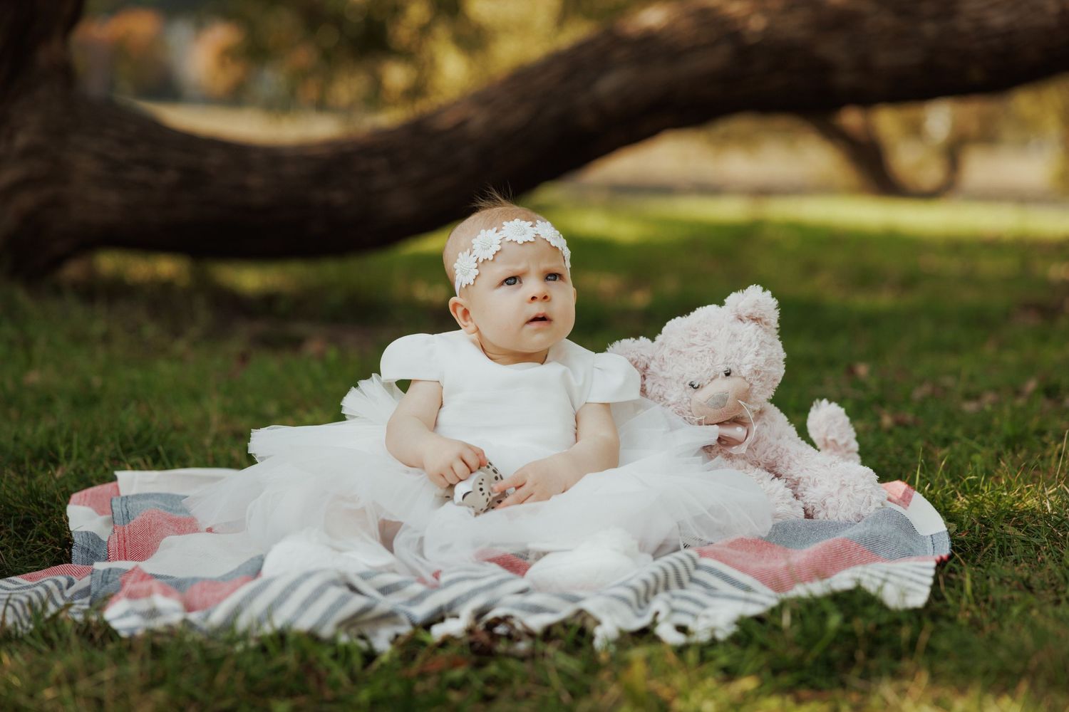 Baby wearing white dress sitting on blanket outdoors with stuffed animal toys and pink decorative items.
