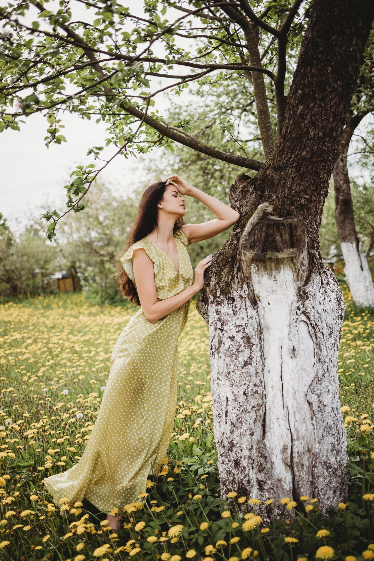 Artistic portrait series showing movement and dance around birch trees in a spring meadow.