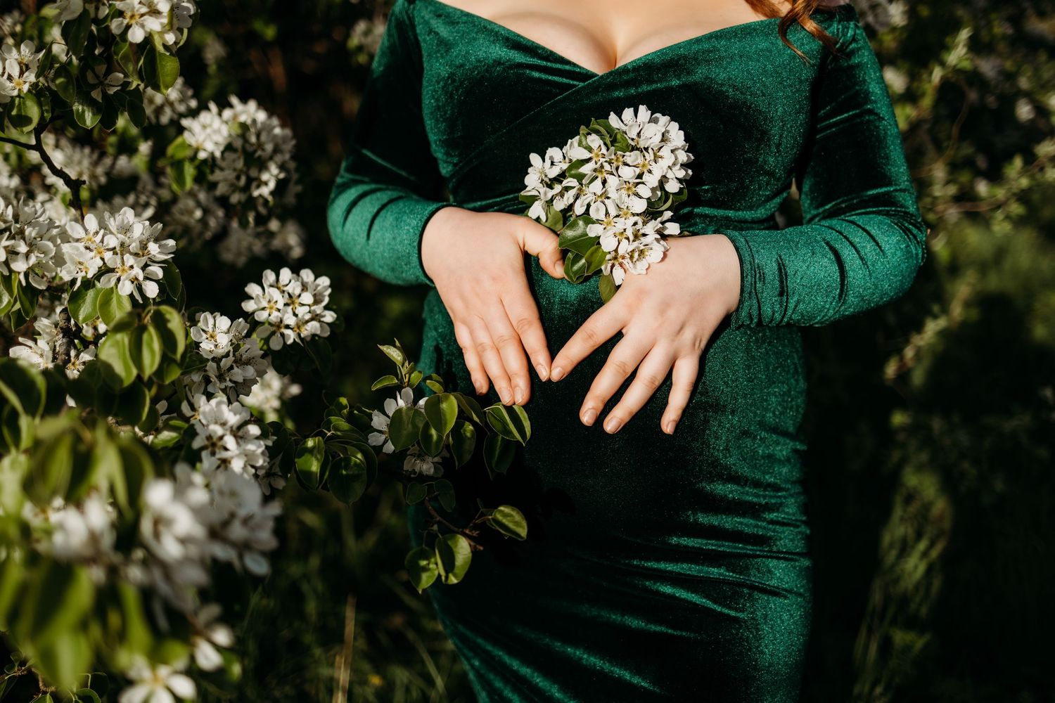 Close-up details of an emerald green velvet maternity dress with white spring blossoms.