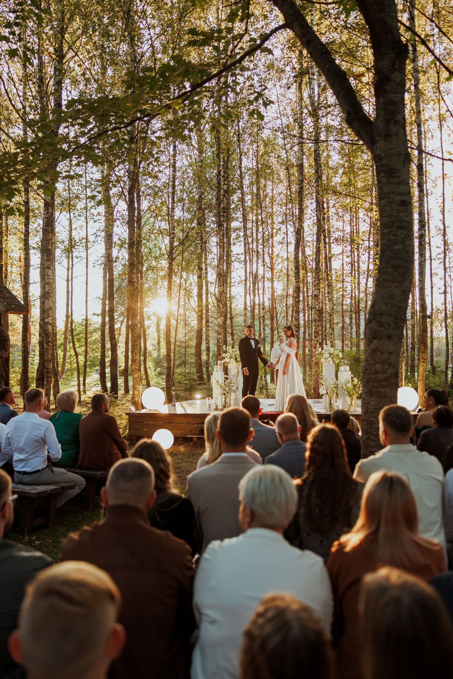 Outdoor forest wedding ceremony with guests seated among tall pine trees at sunset.