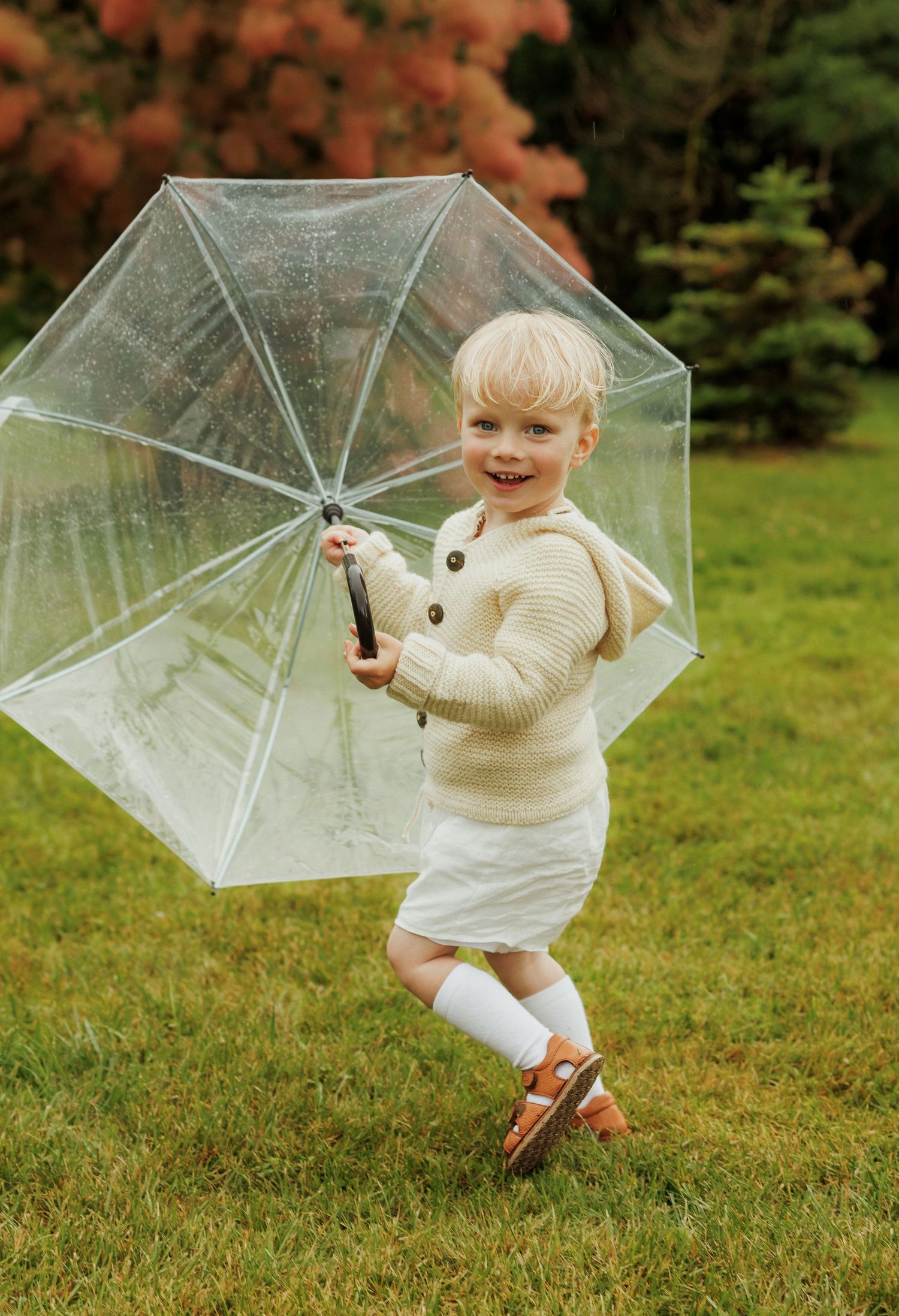 Smiling toddler in cream sweater holding clear umbrella on green grass lawn.