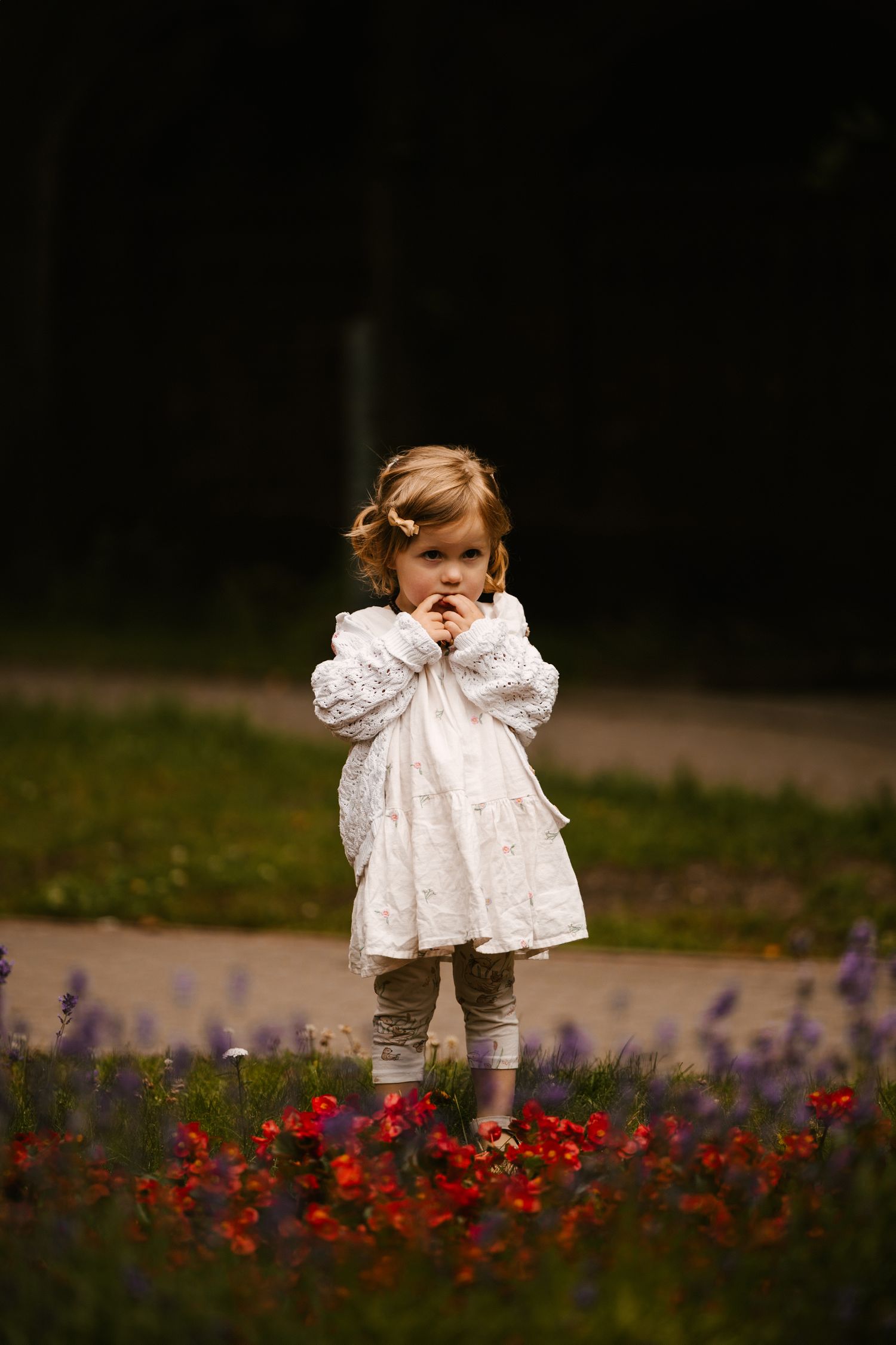 Small child in white lace dress standing among red flowers in garden setting.
