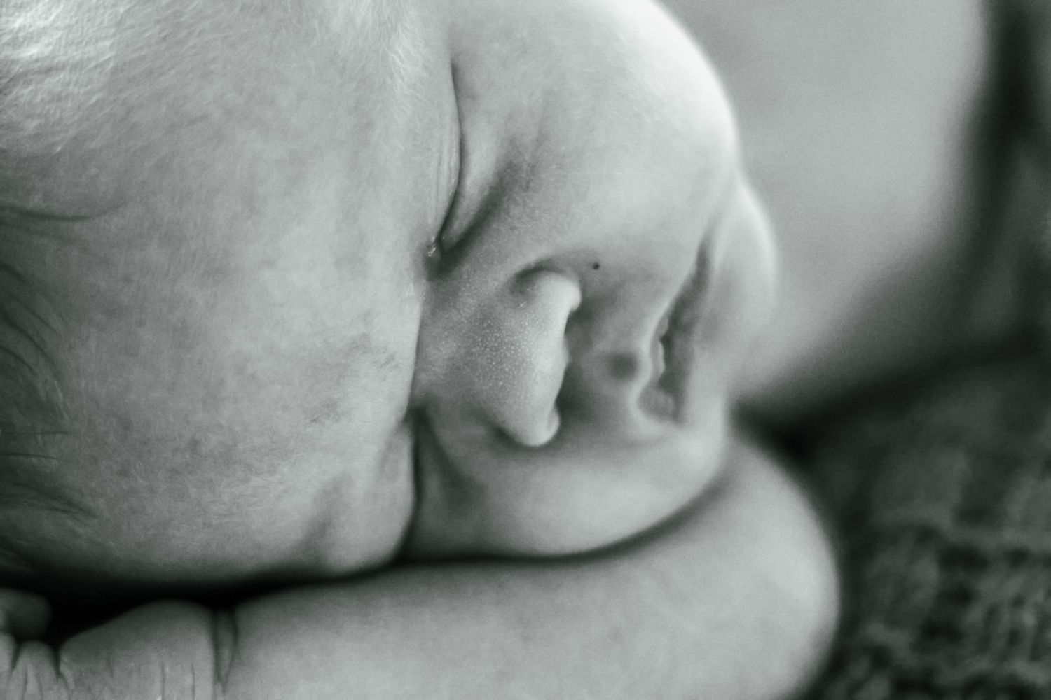 Newborn