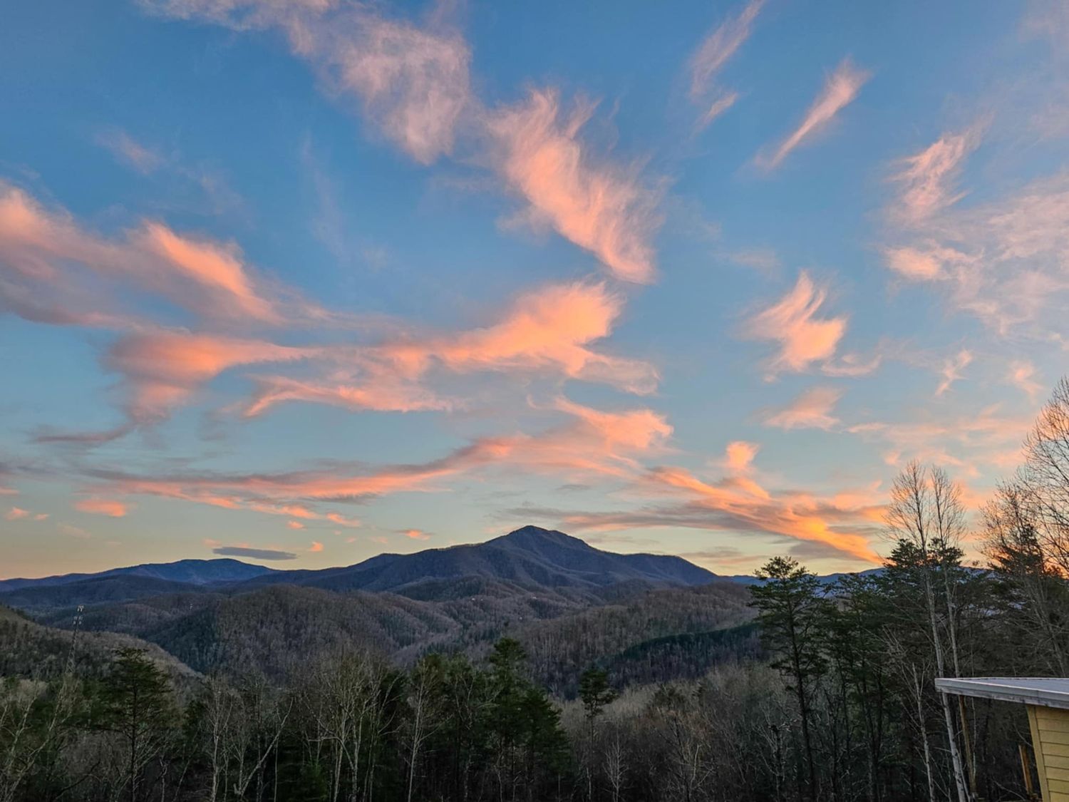 Sunset illuminates pink clouds over mountain peaks in the Blue Ridge Mountains with bare winter trees in the foreground.