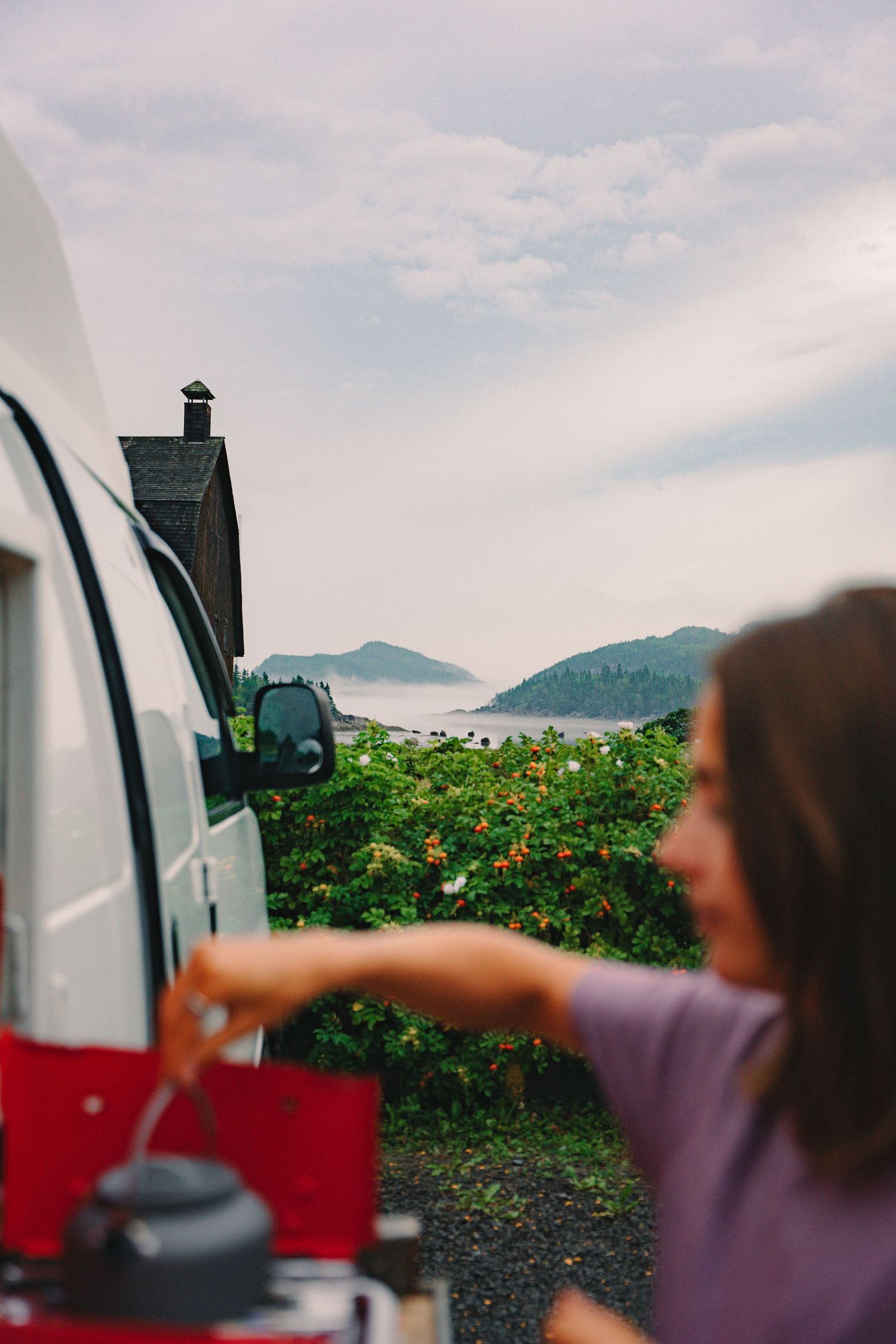 Woman cooking beside a camper van with scenic coastal fjord and green hills in background.