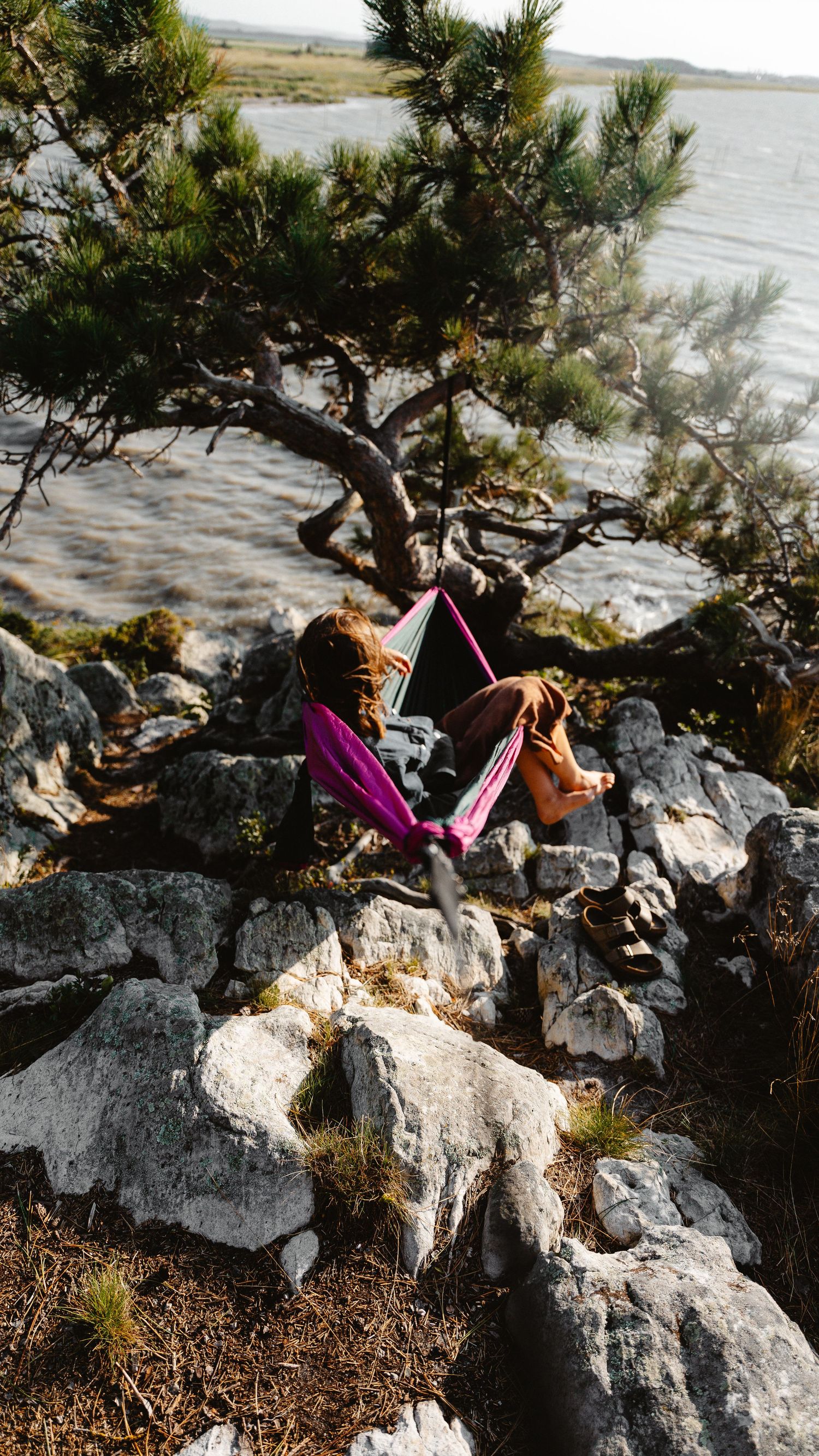 Person relaxing in a pink and green hammock tied to a pine tree on rocky lakeside terrain.