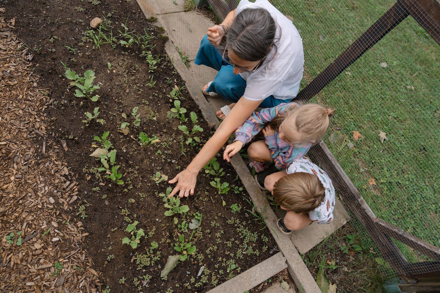 Adult and two children examining plants in a raised garden bed outdoors.