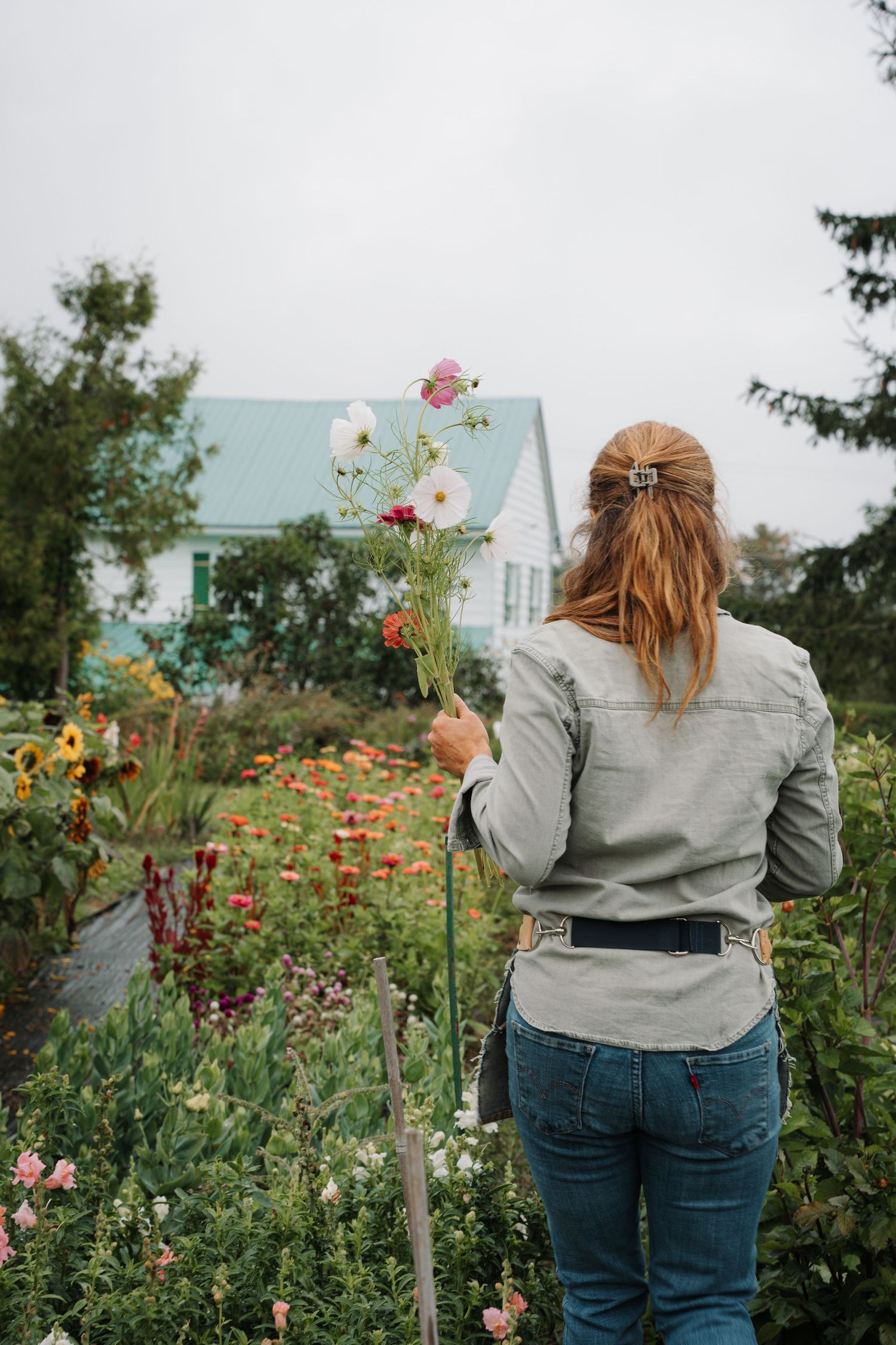 Woman walking through a vibrant flower garden holding freshly picked blooms.
