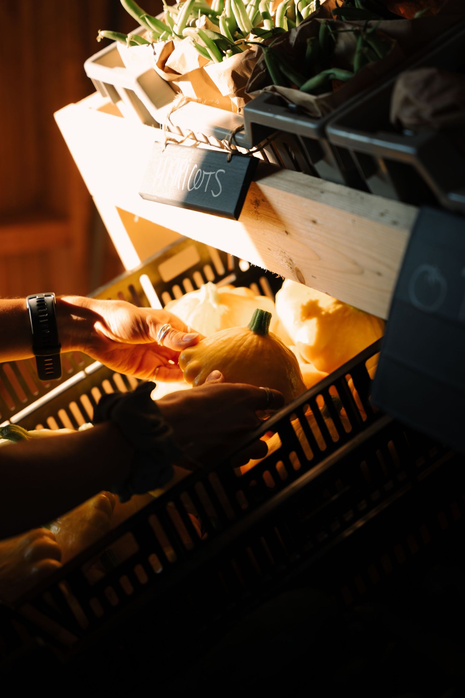 Hands selecting a fresh squash from a wooden crate at a farmers market produce stand in warm light.