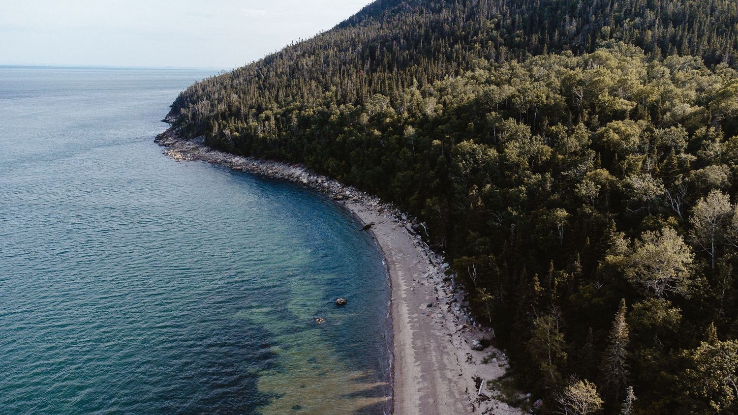 Aerial drone view of a forested rocky coastline curving along clear blue-green water.