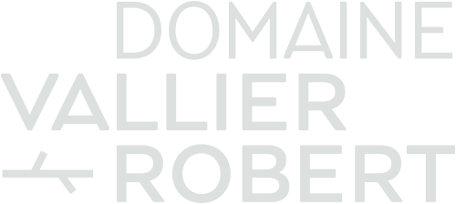 Domaine Vallier Robert minimalist light gray text logo with clean modern typography.
