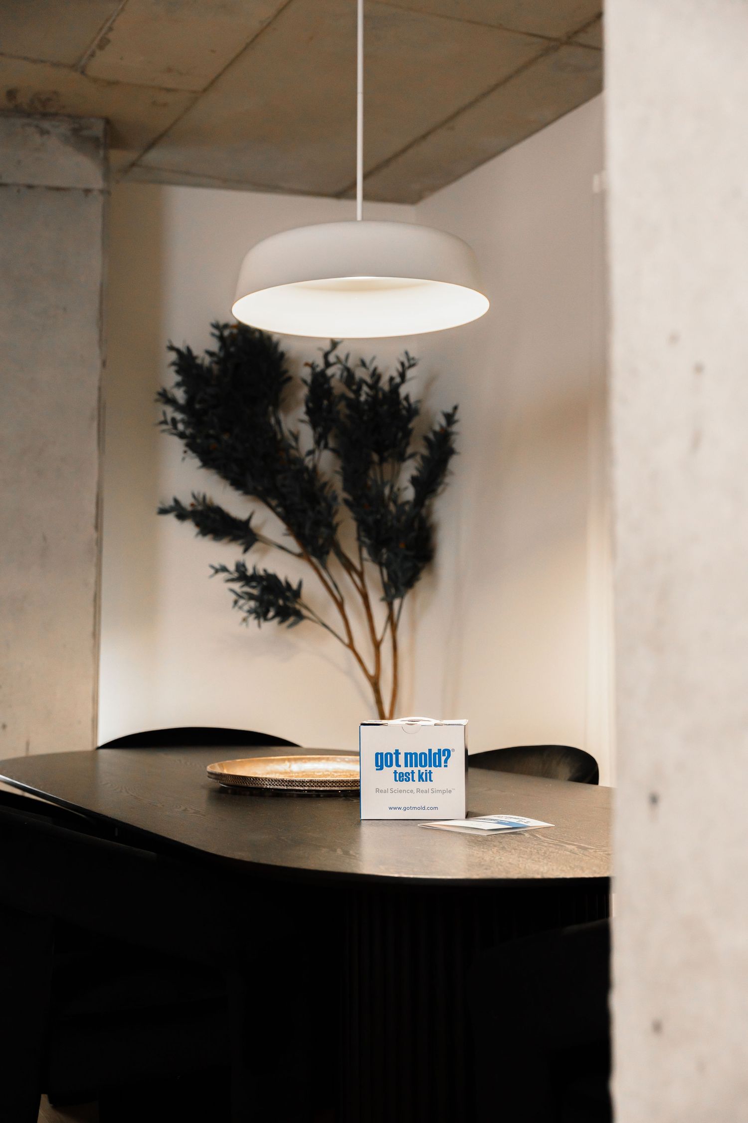 Got Mold test kit box on a dark dining table beneath a white pendant light with dried plant decor.