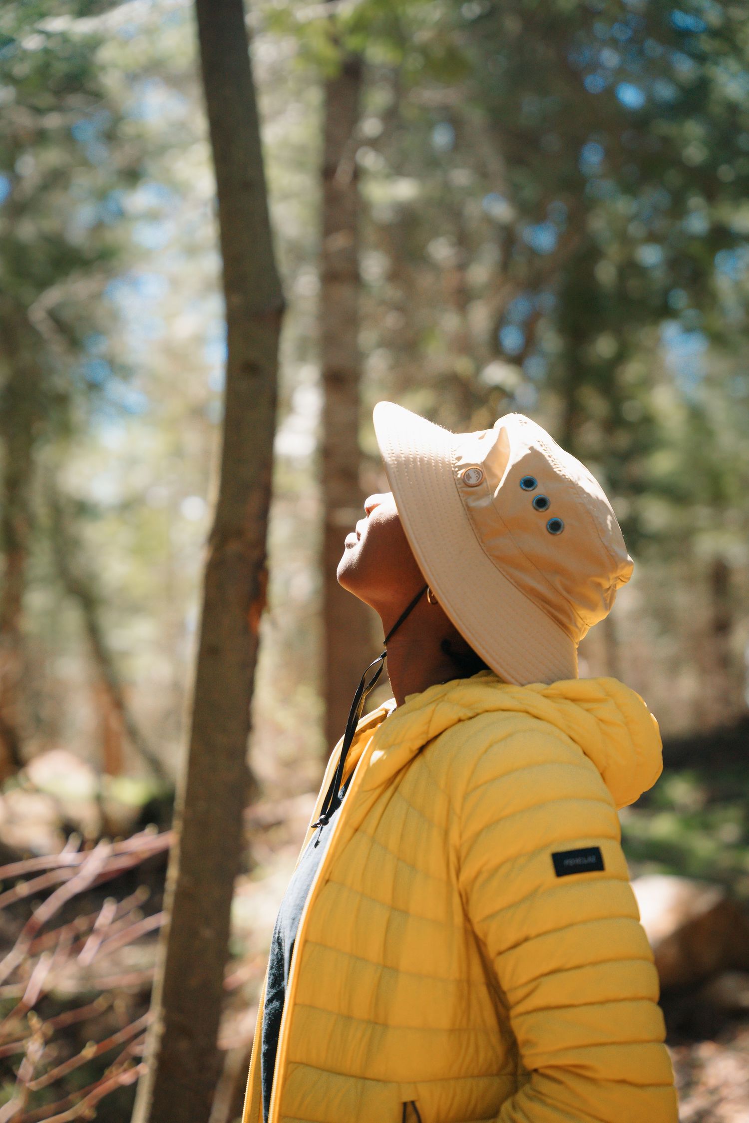 Woman in yellow puffer jacket and sun hat looking up through sunlit forest trees.