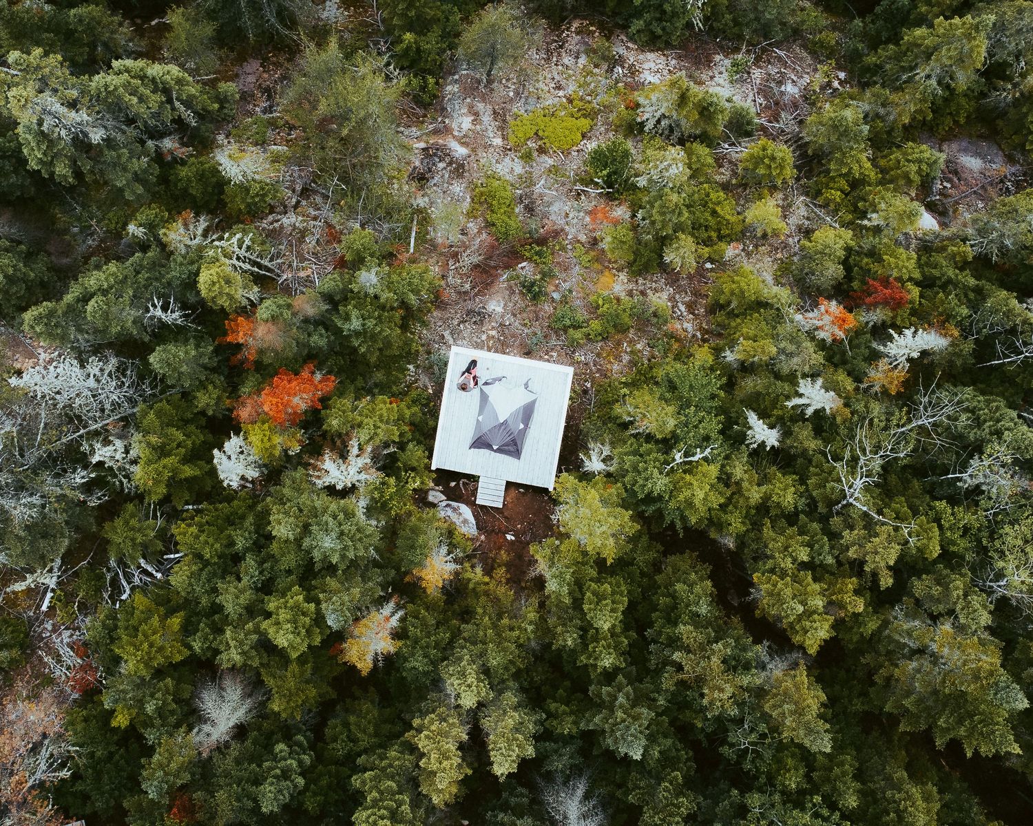 Aerial drone view of a small modern cabin with glass roof nestled in colorful autumn forest.