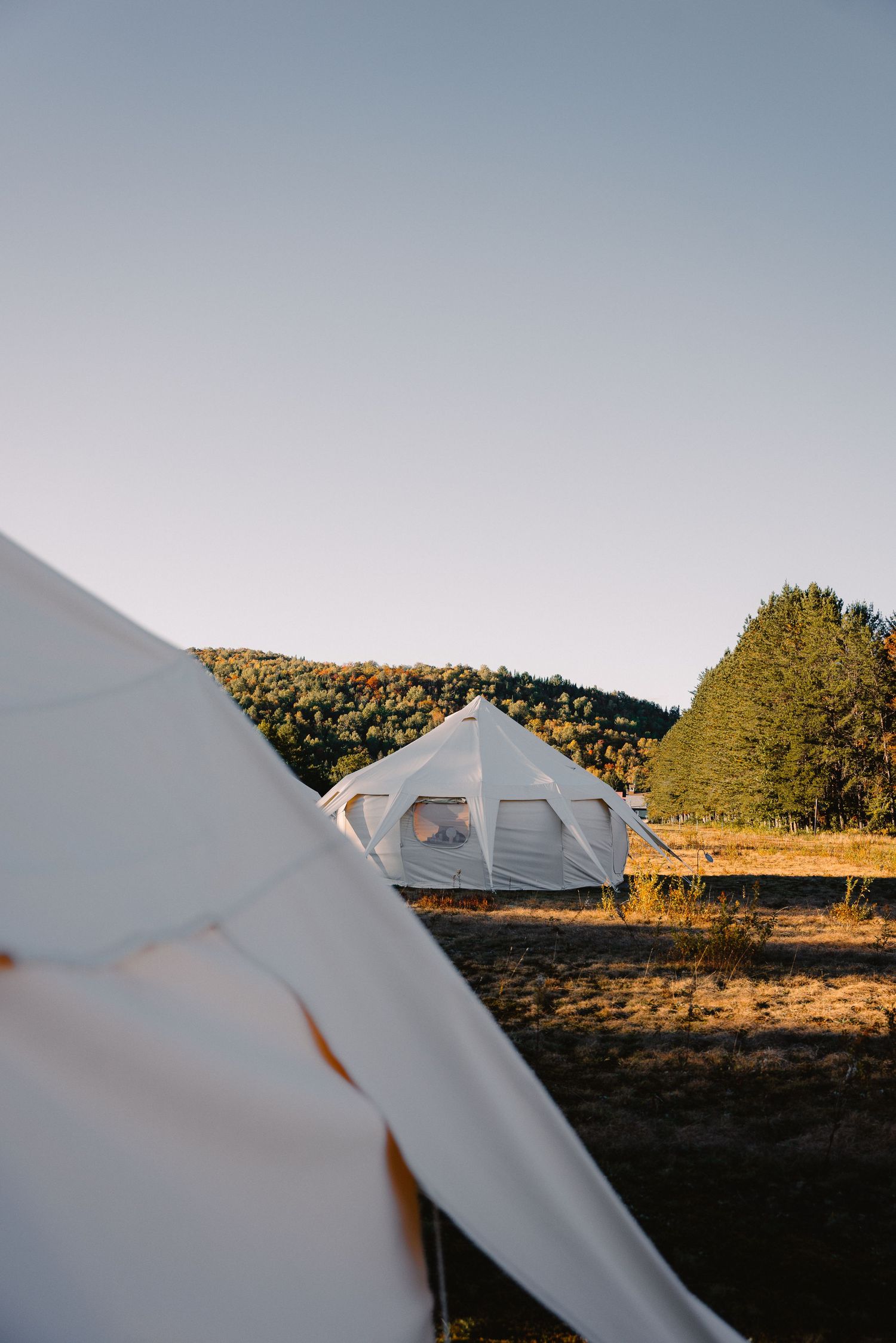 White glamping bell tents in open field with forested hills and clear sky at golden hour.