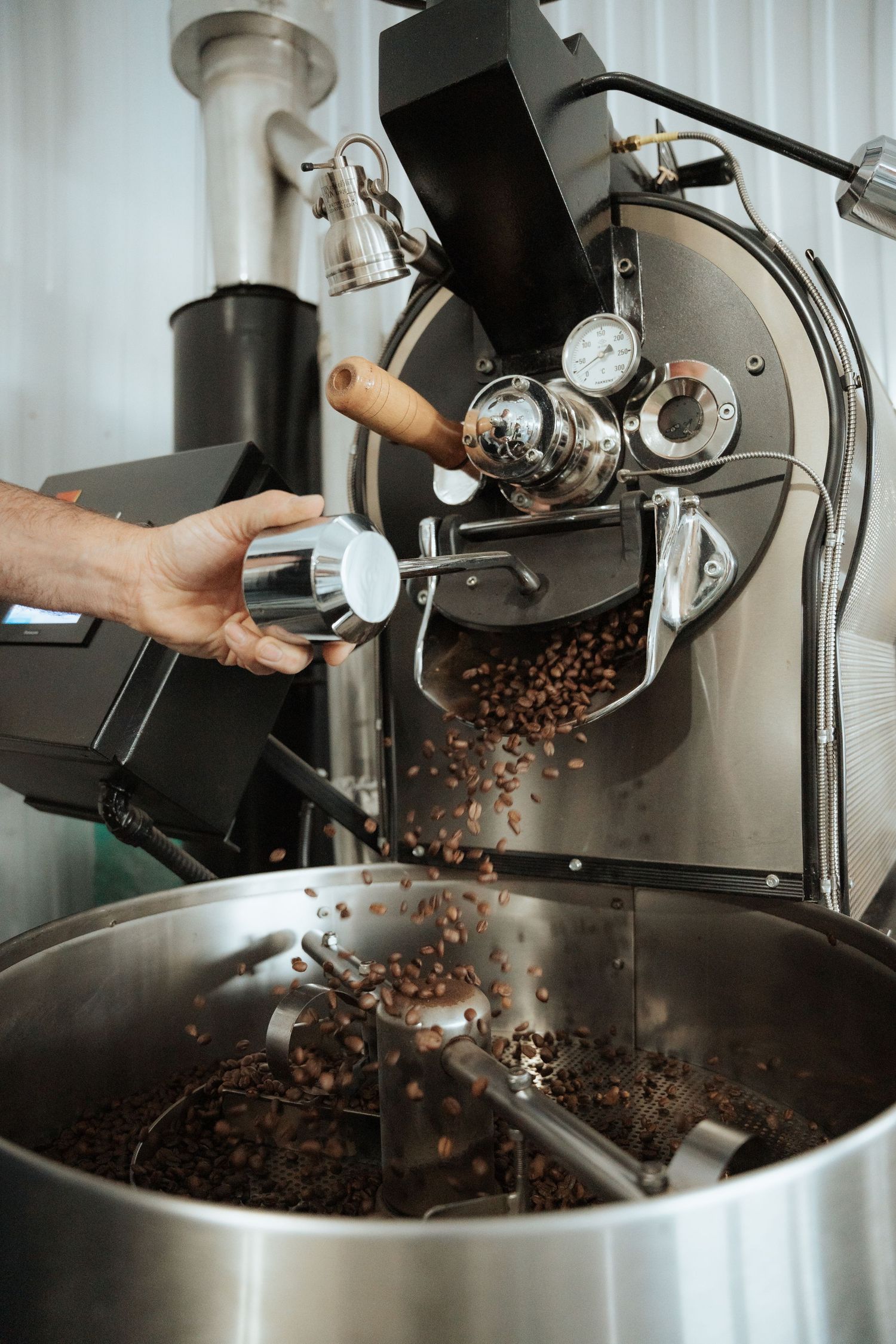 Coffee beans being released from a roaster into a cooling tray by a technician.