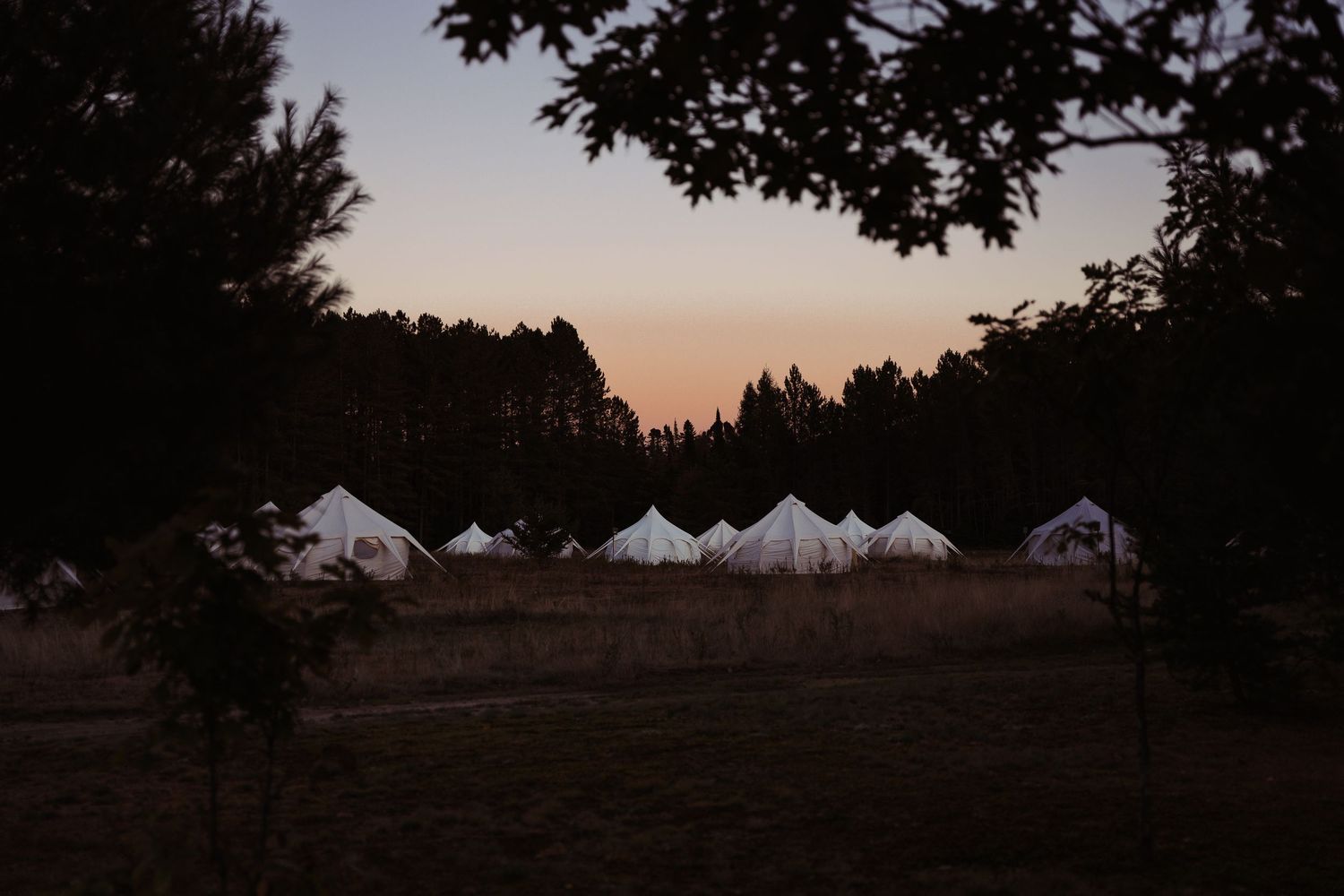 Row of white glamping tents in a meadow at dusk with forest backdrop and colorful sunset sky.