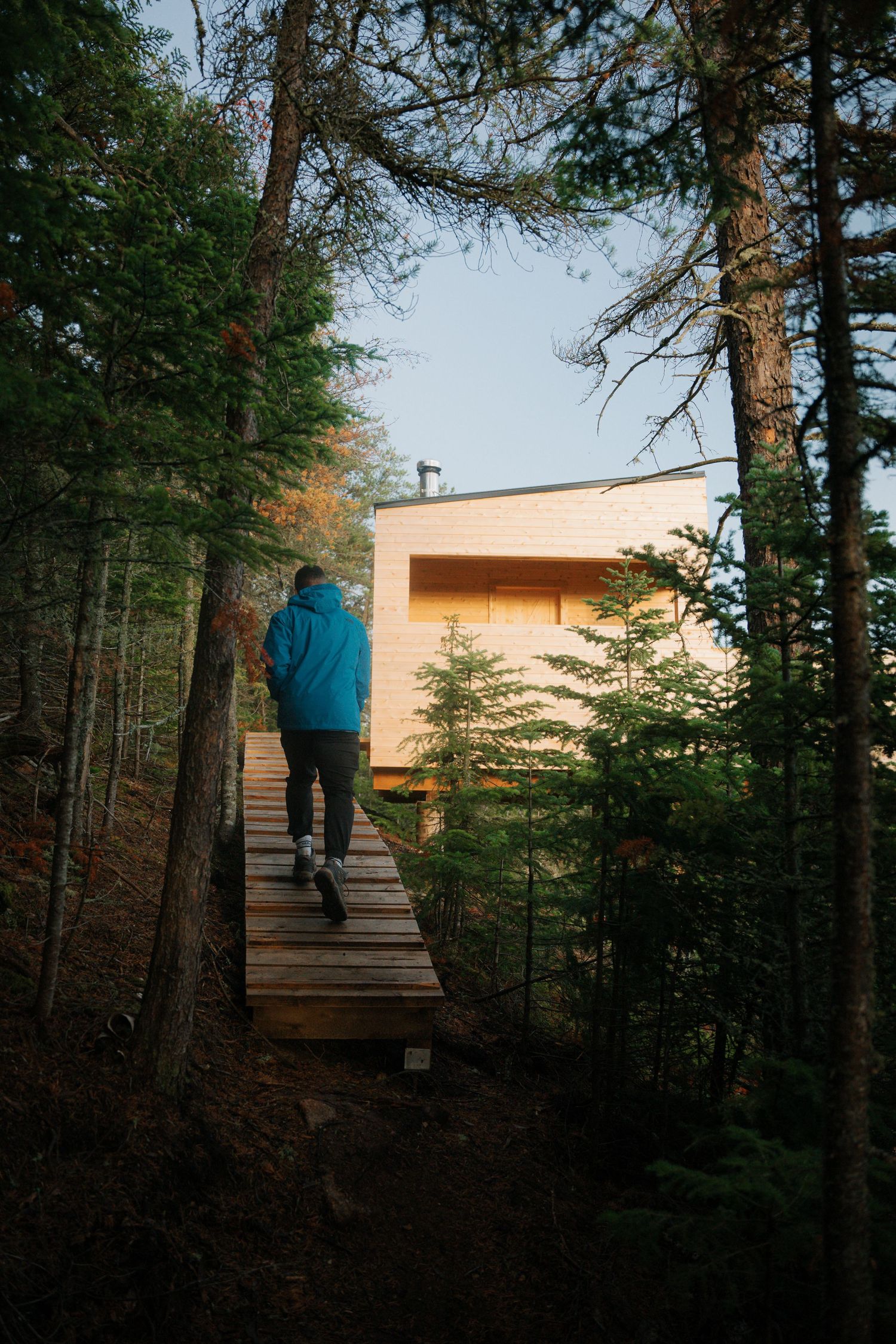 Man in blue hoodie walking on wooden boardwalk path through forest toward modern cabin.