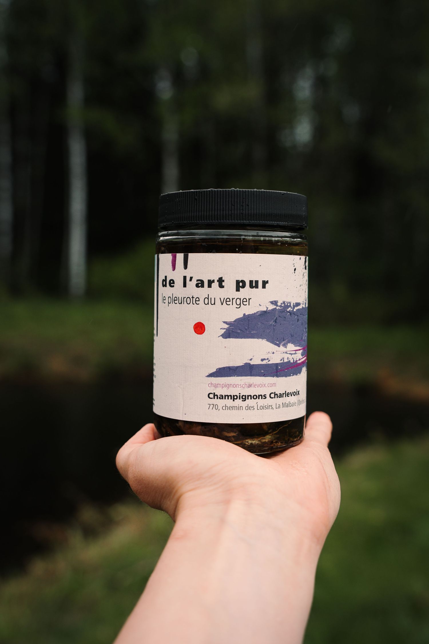 Hand holding a jar of De L'art Pur Pleurote du Verger Charlevoix mushrooms against forest background.