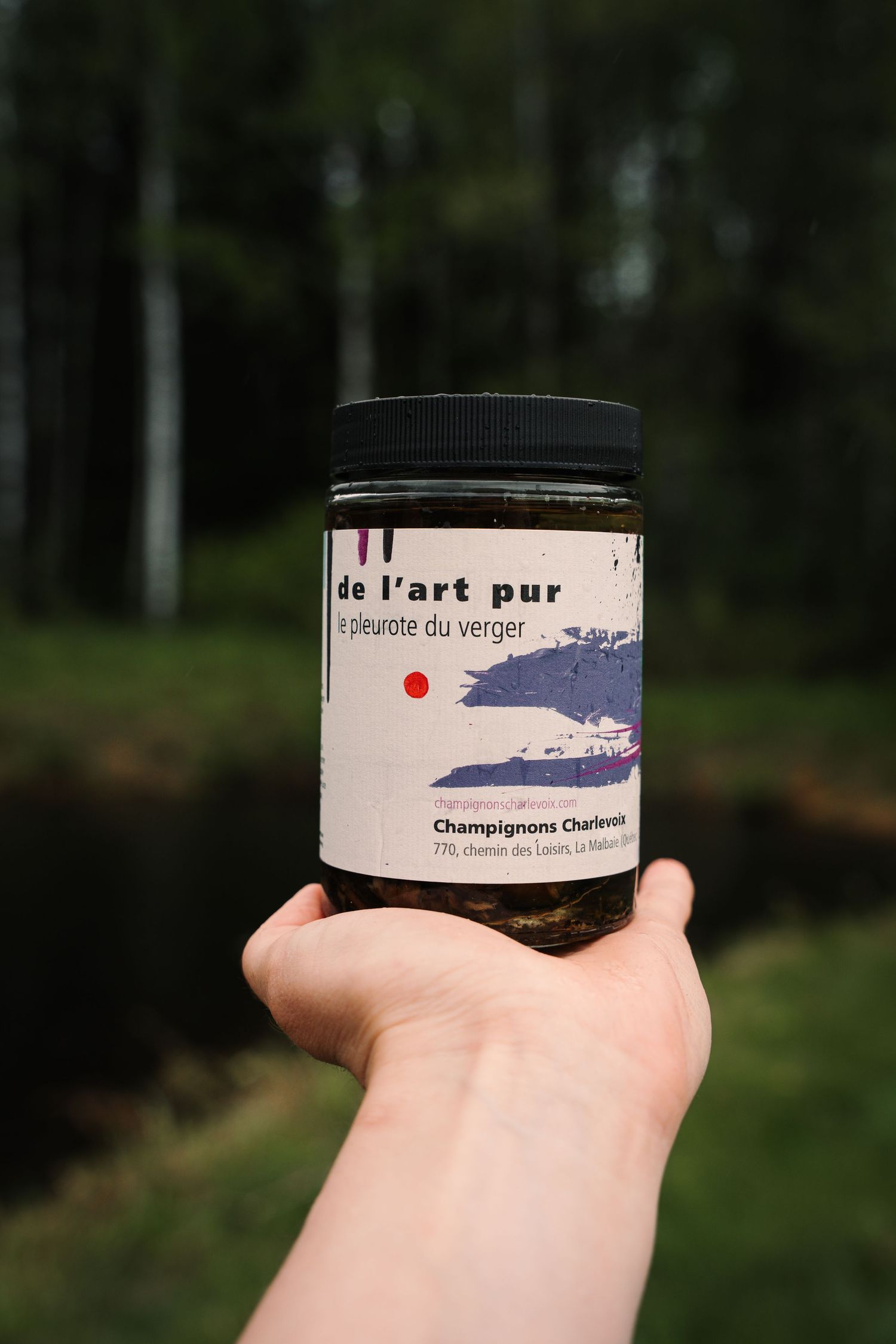 Hand holding a jar of de l'art pur pleurote du verger mushrooms from Champignons Charlevoix outdoors.