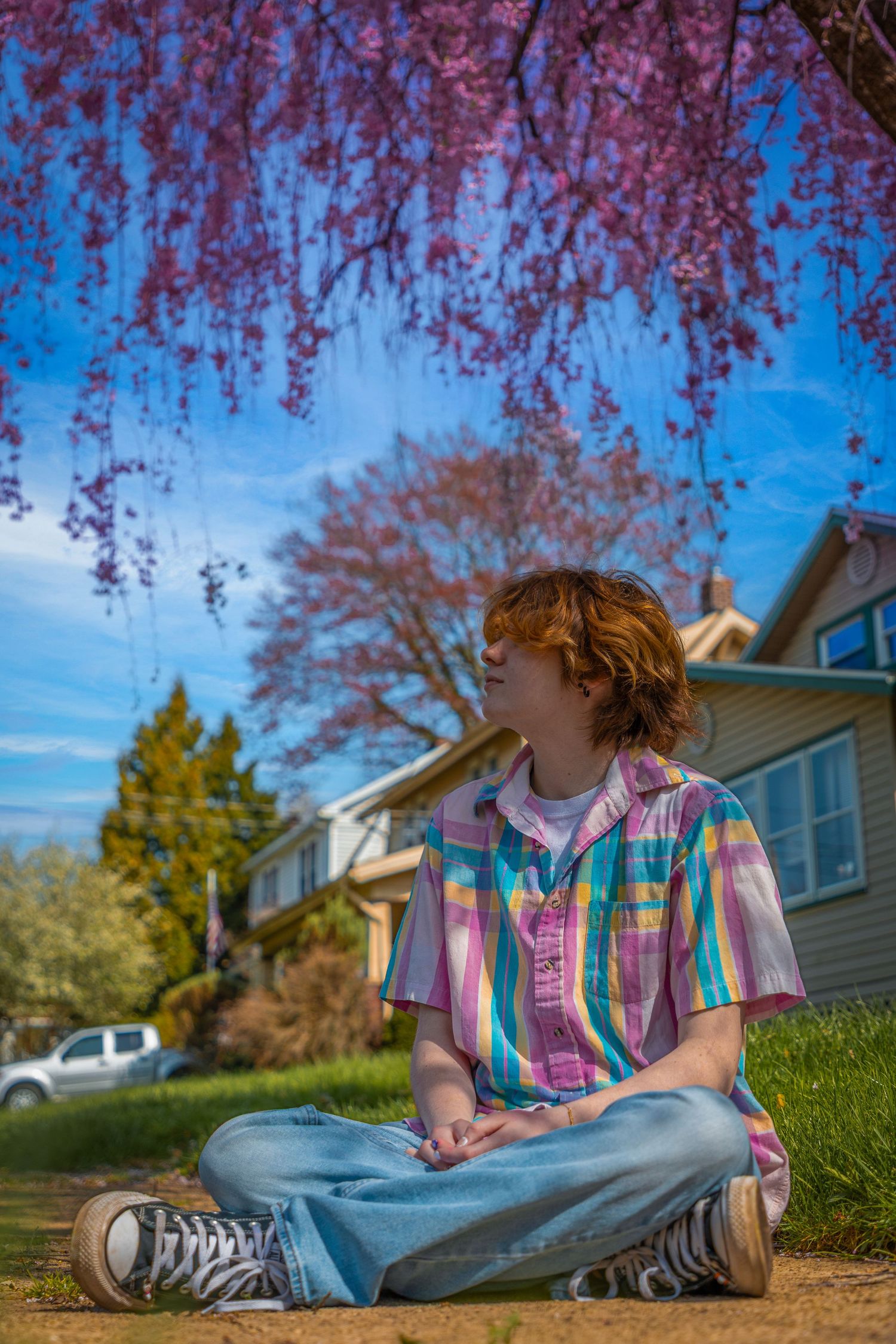 Spring scene with pink cherry blossoms framing a suburban yard.