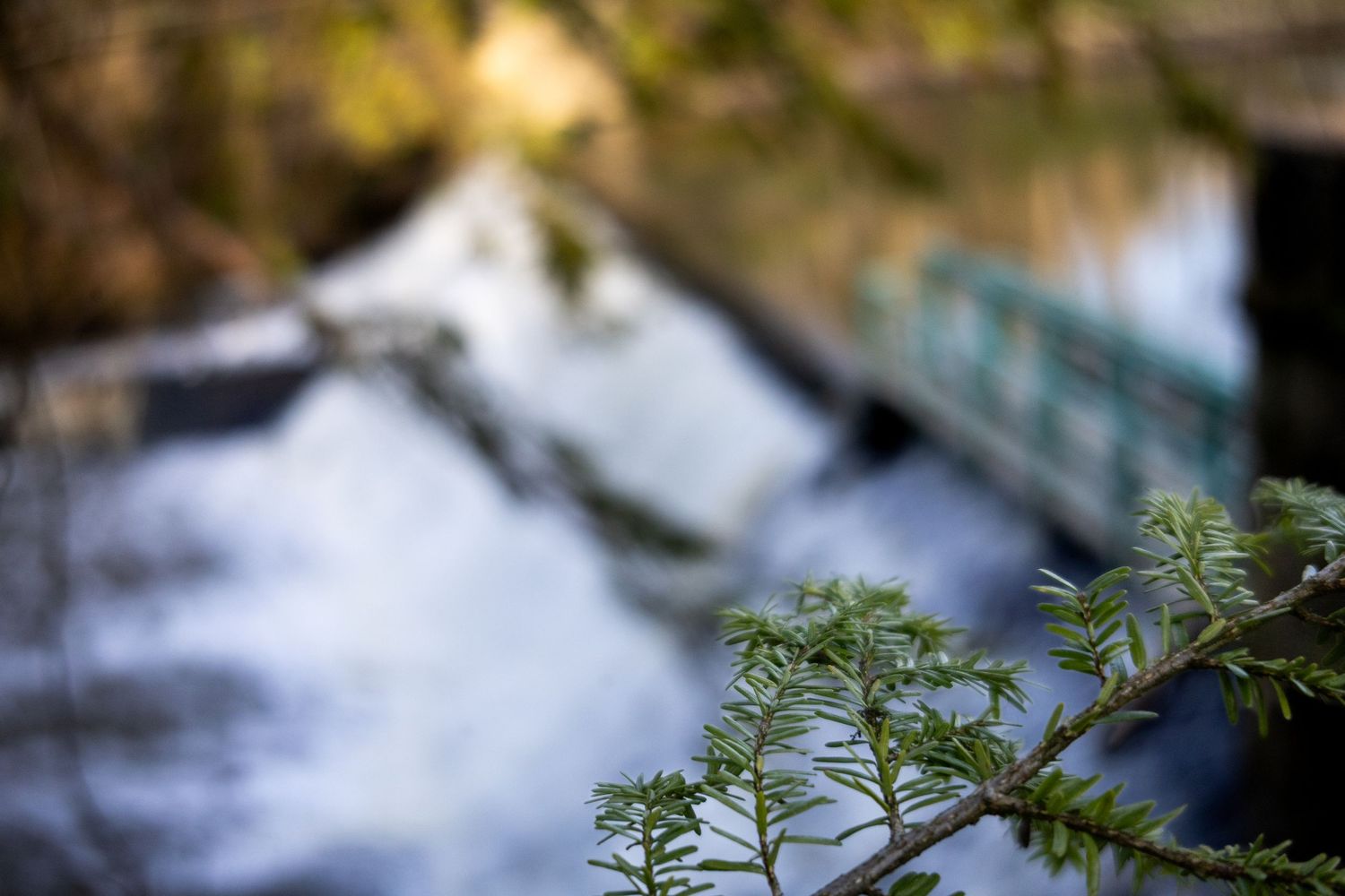 Reflective pool of water below a waterfall with green foliage in spring.