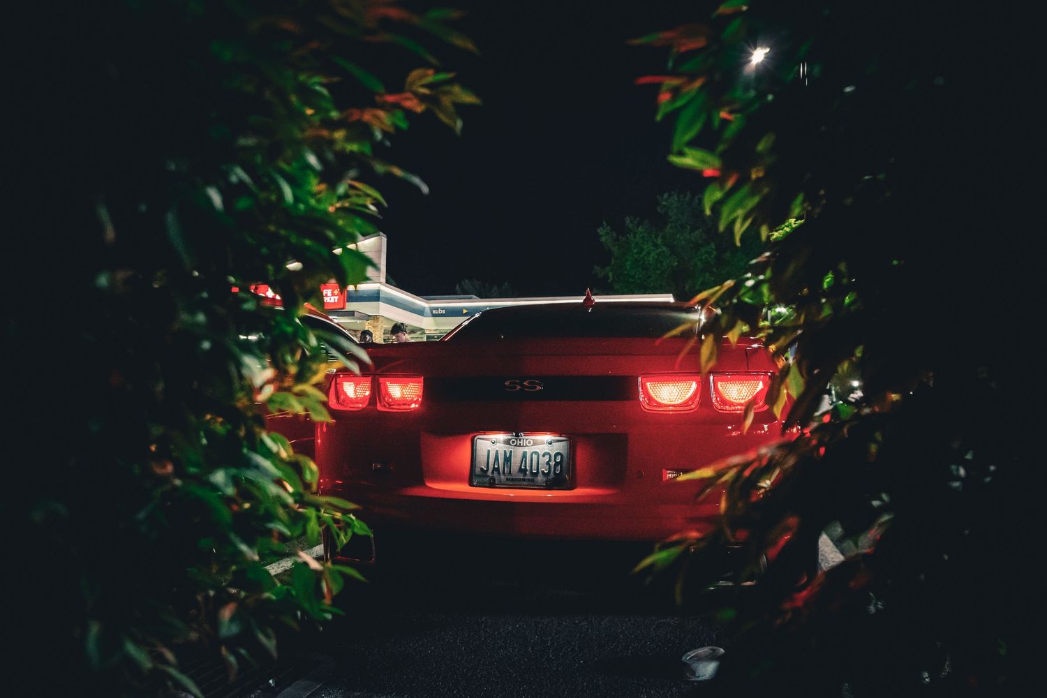 Red sports car parked between lush green bushes at night with glowing taillights illuminating the dark scene.