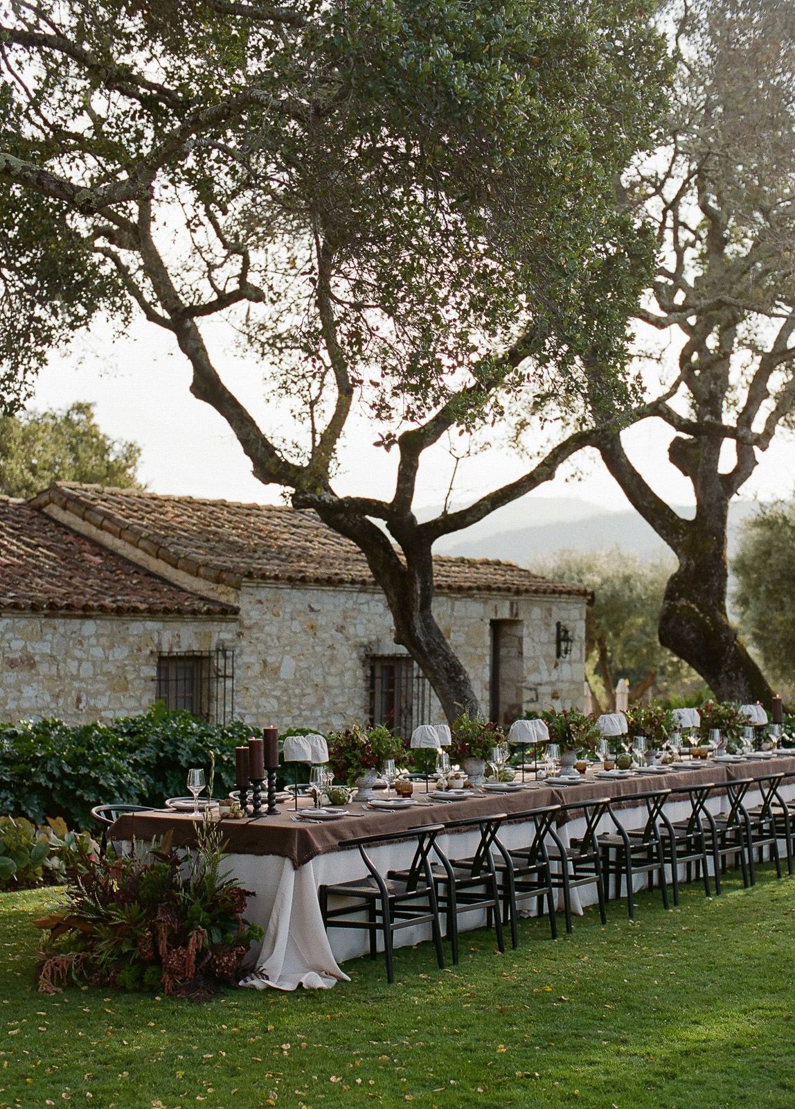 Wedding reception table set beneath olive trees at Holman Ranch in Carmel Valley, California.