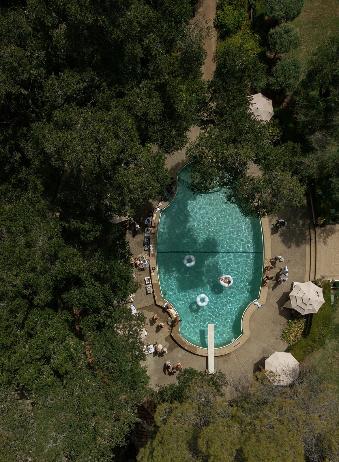 Stonepine Estate Carmel Valley welcome pool party