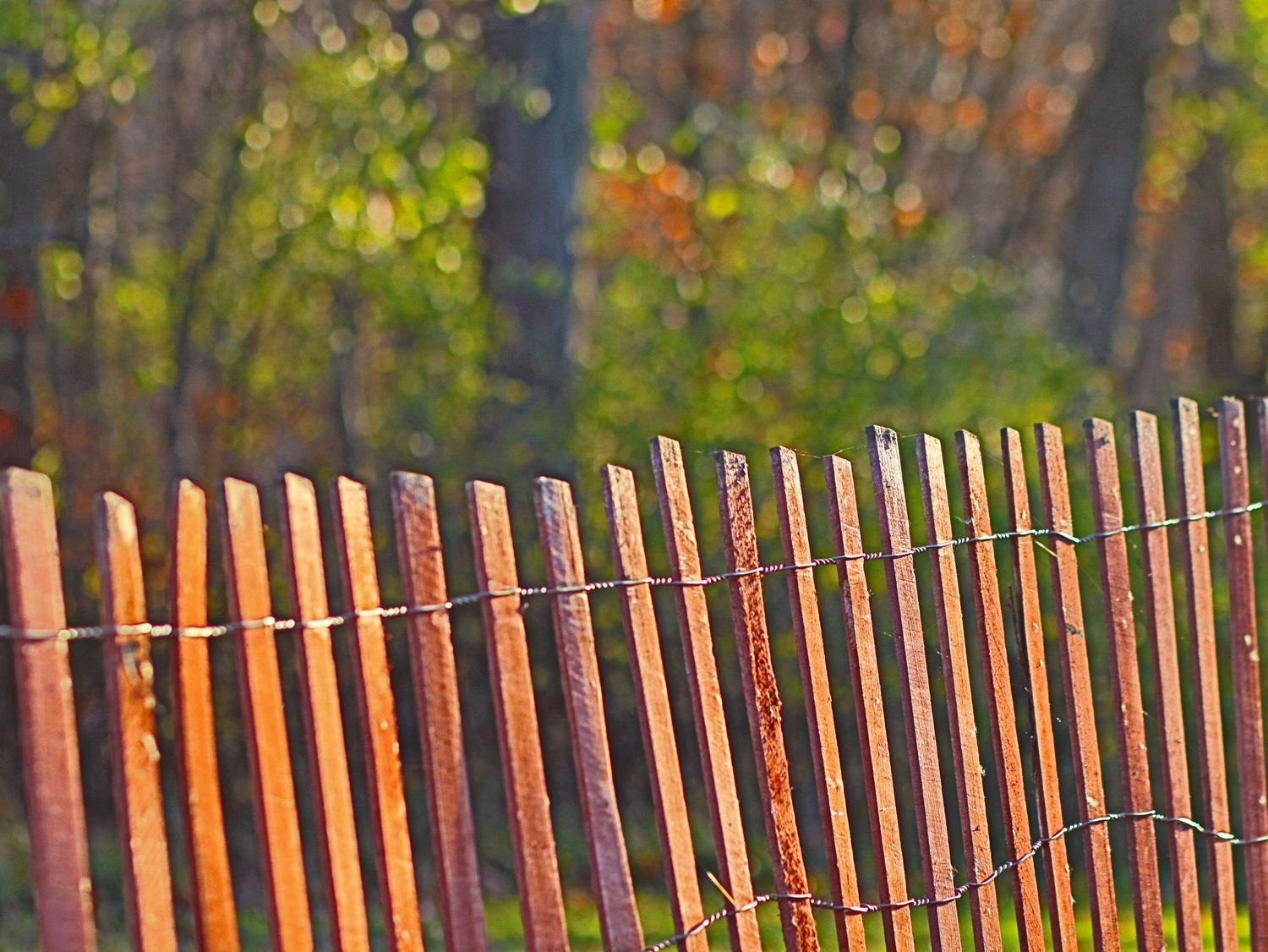 fence