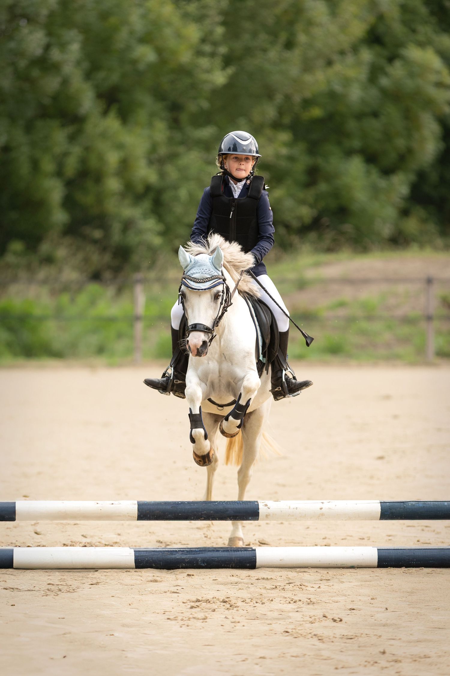 Paardenfotografie - Nadine Oostelbos Fotografie