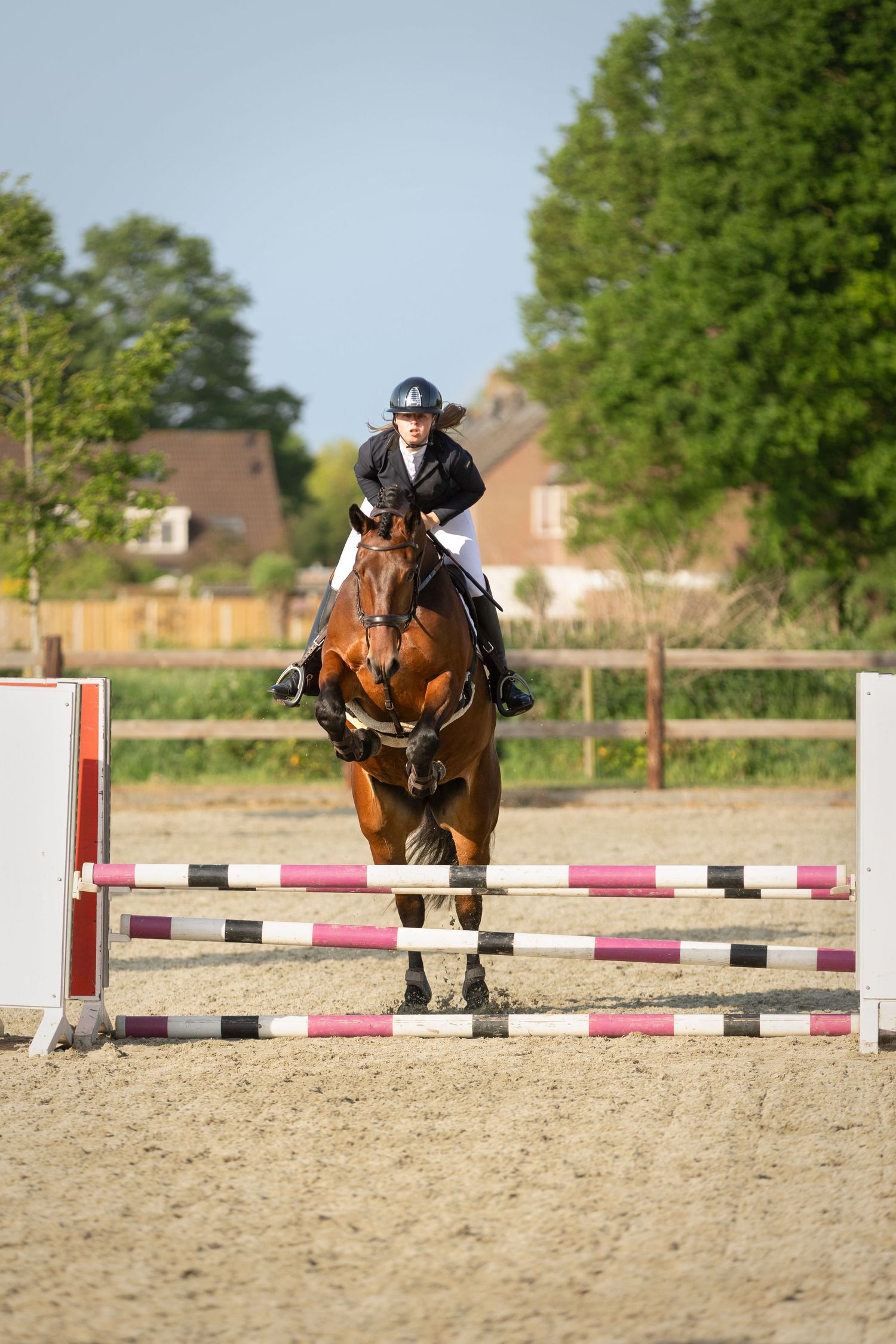 Paardenfotografie - Nadine Oostelbos Fotografie