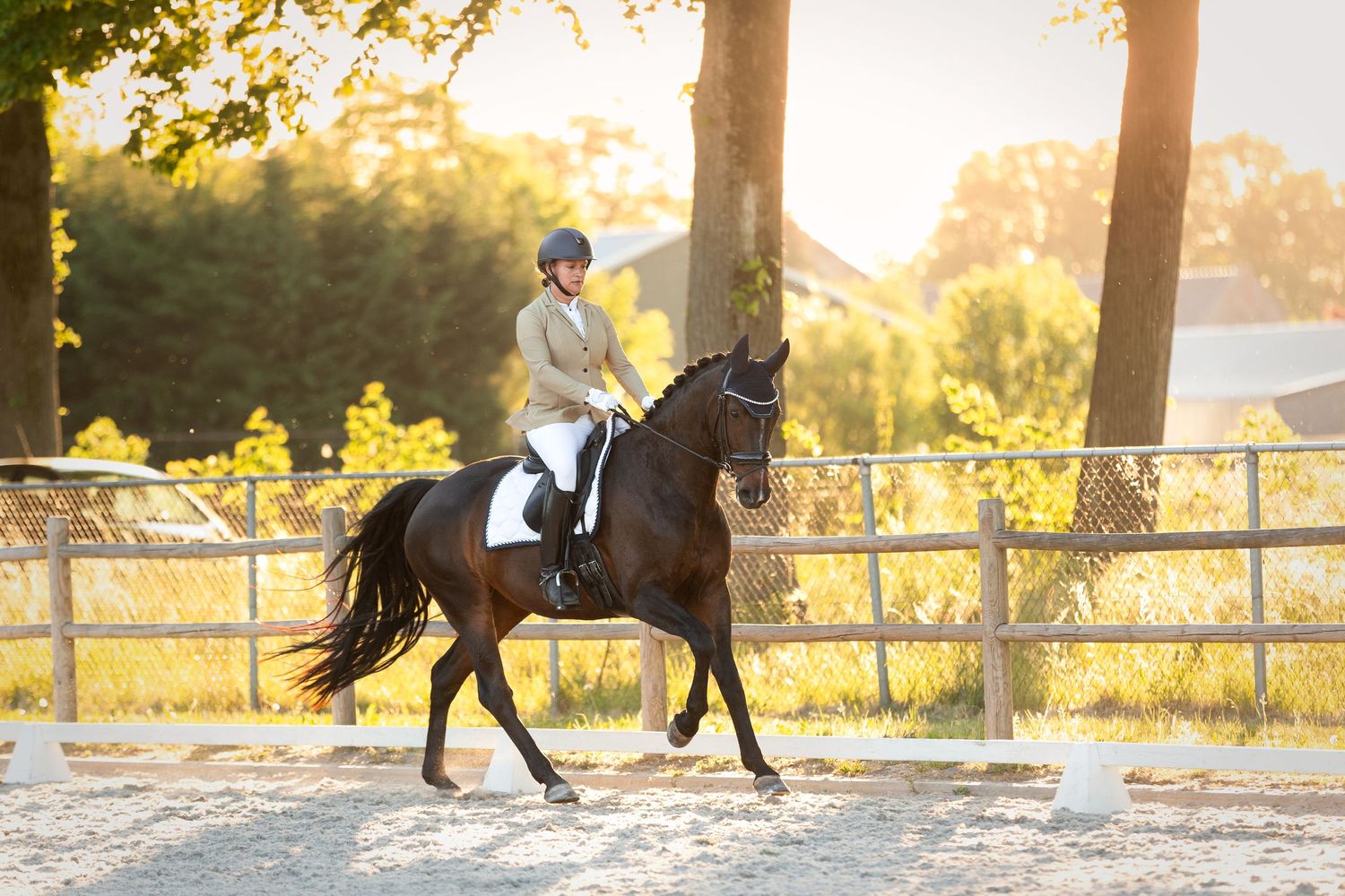 Paardenfotografie - Nadine Oostelbos Fotografie