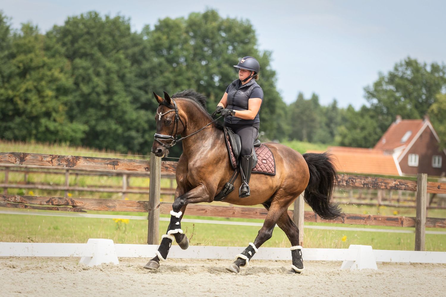 Paardenfotografie - Nadine Oostelbos Fotografie