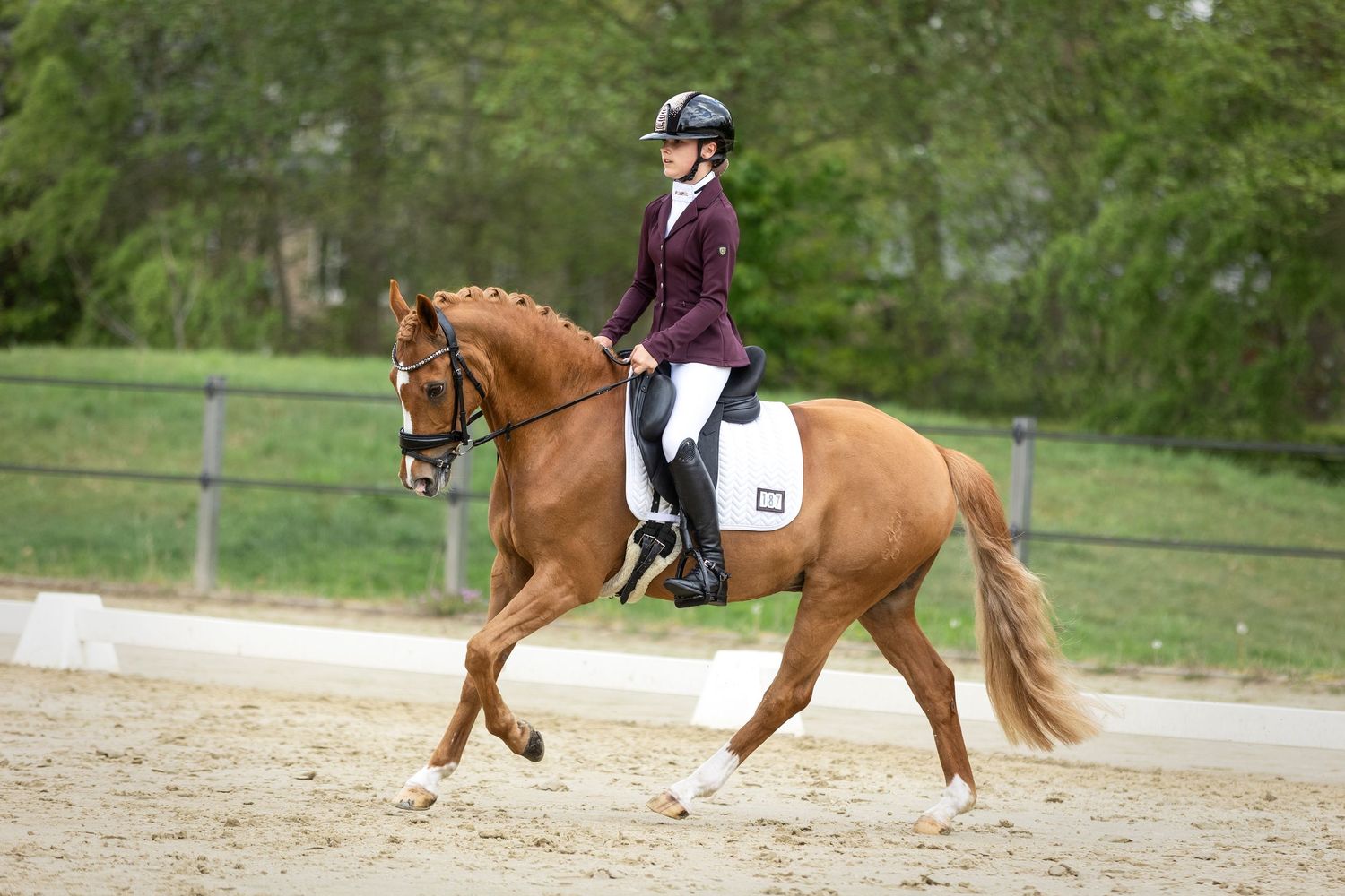 Paardenfotografie - Nadine Oostelbos Fotografie