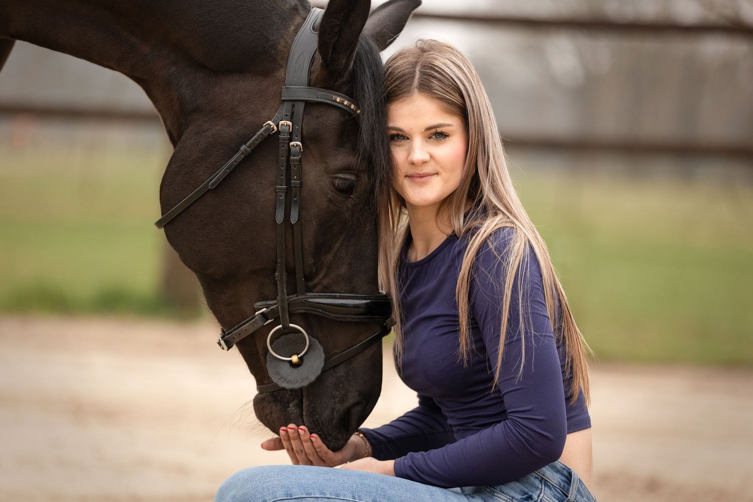 A black horse with bridle stands calmly outdoors on a sunny day.