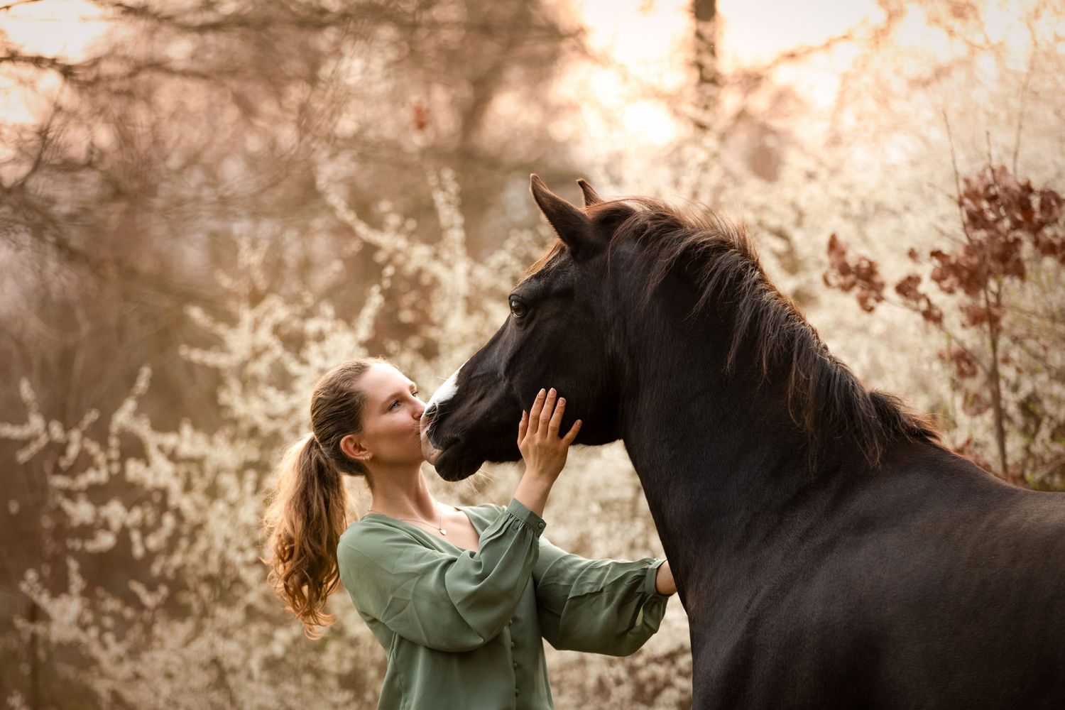 A majestic black horse and companion share a tender moment against a dreamy autumn backdrop with blossoming trees.