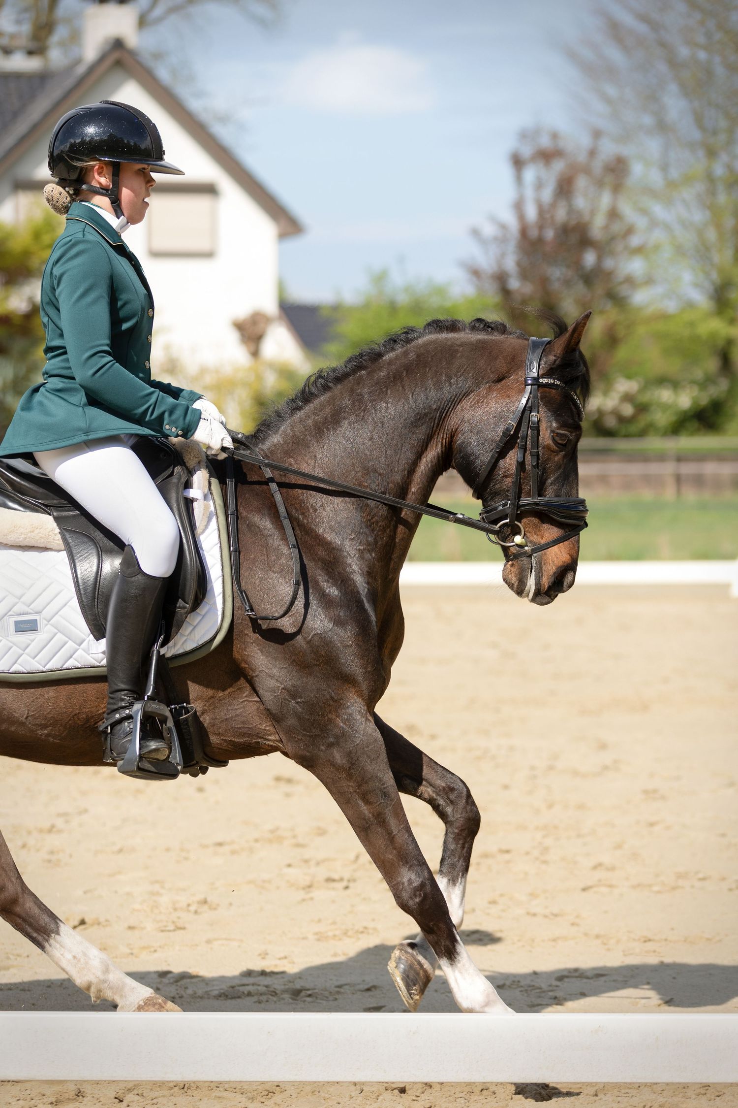 Paardenfotografie - Nadine Oostelbos Fotografie