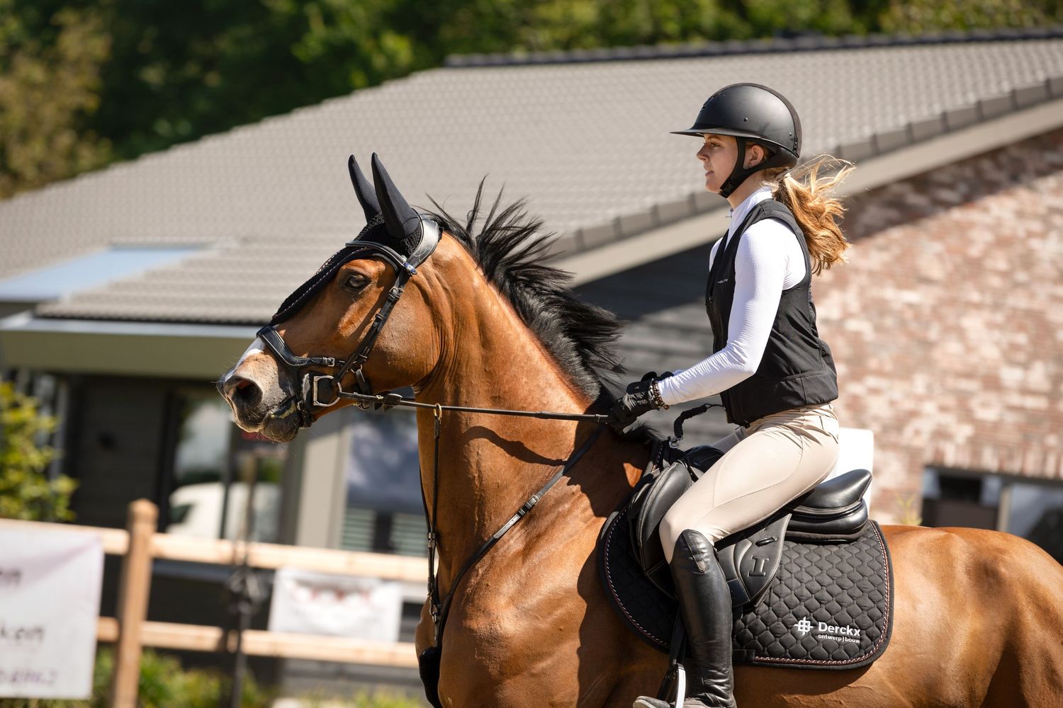 Paardenfotografie - Nadine Oostelbos Fotografie