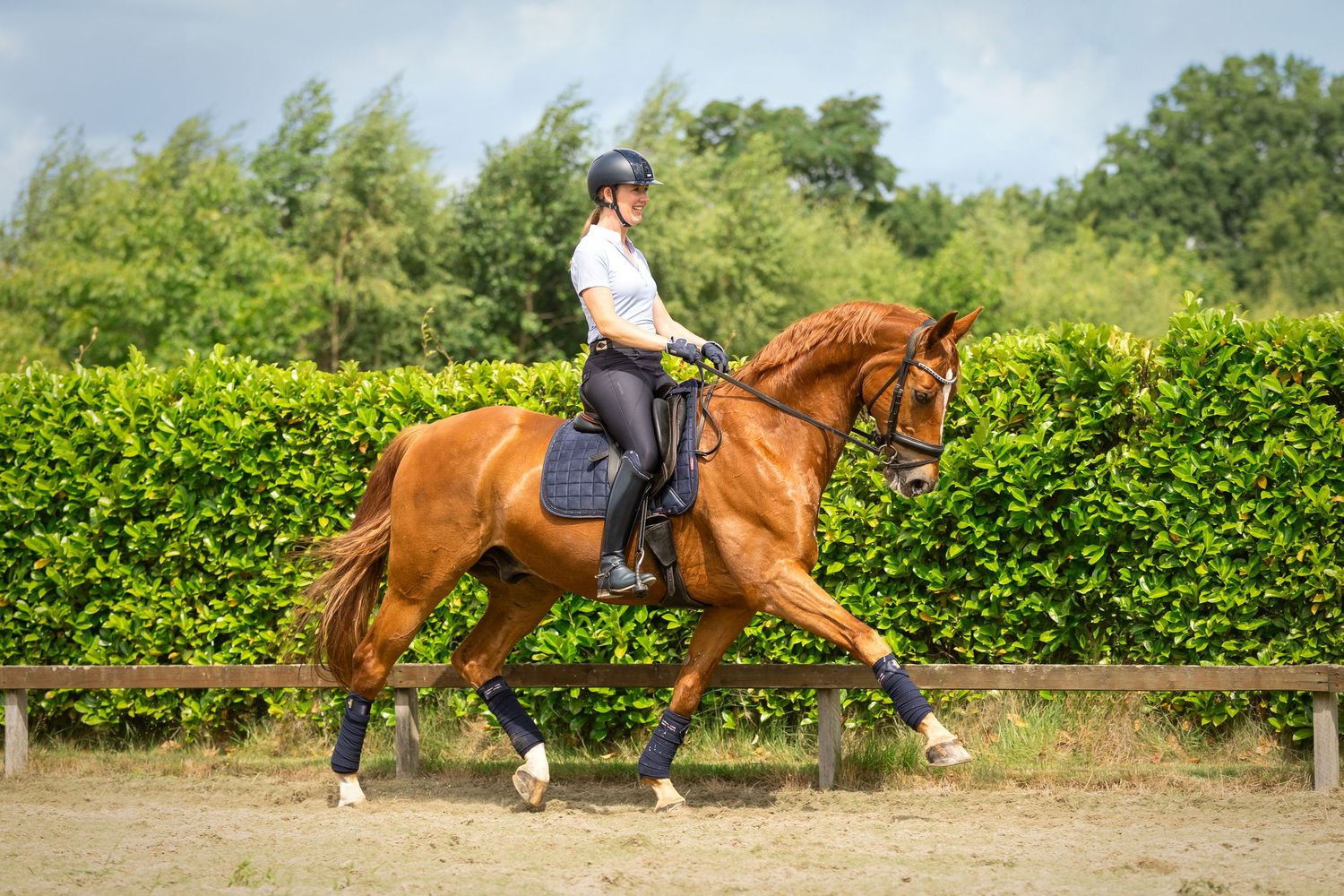Paardenfotografie - Nadine Oostelbos Fotografie