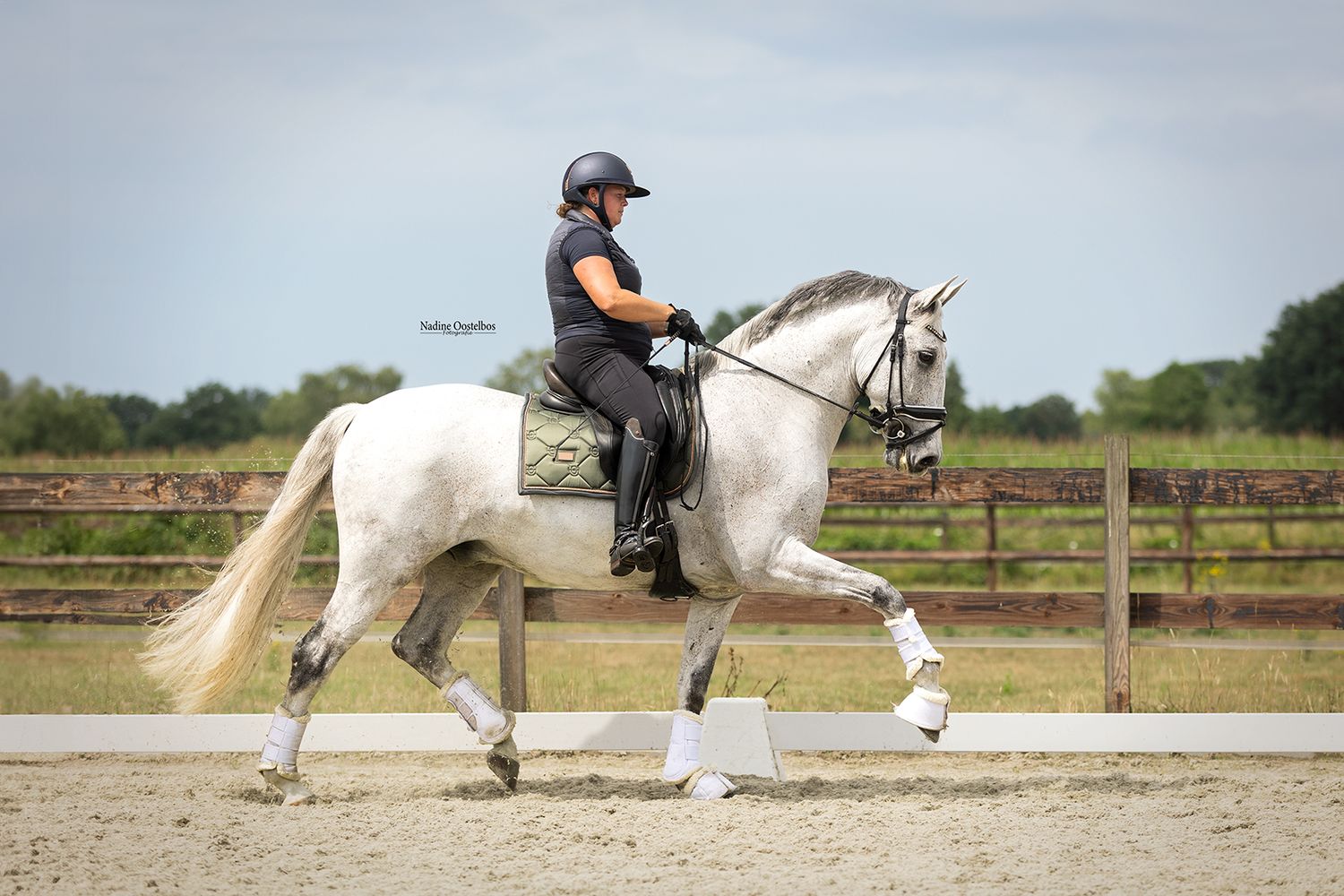 A rider in black attire on a white dressage horse trotting in an outdoor sand arena with wooden fencing.
