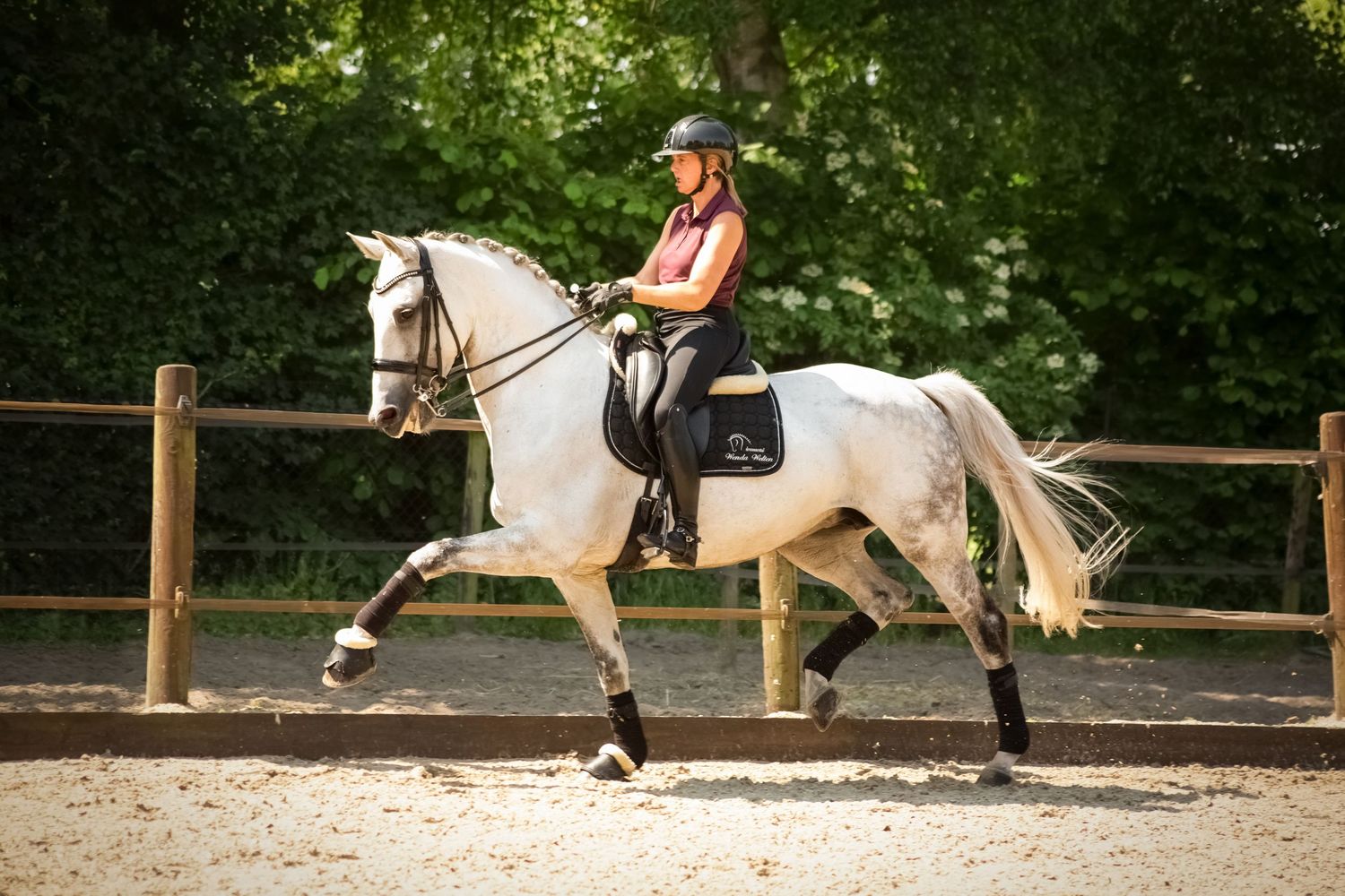 Paardenfotografie - Nadine Oostelbos Fotografie