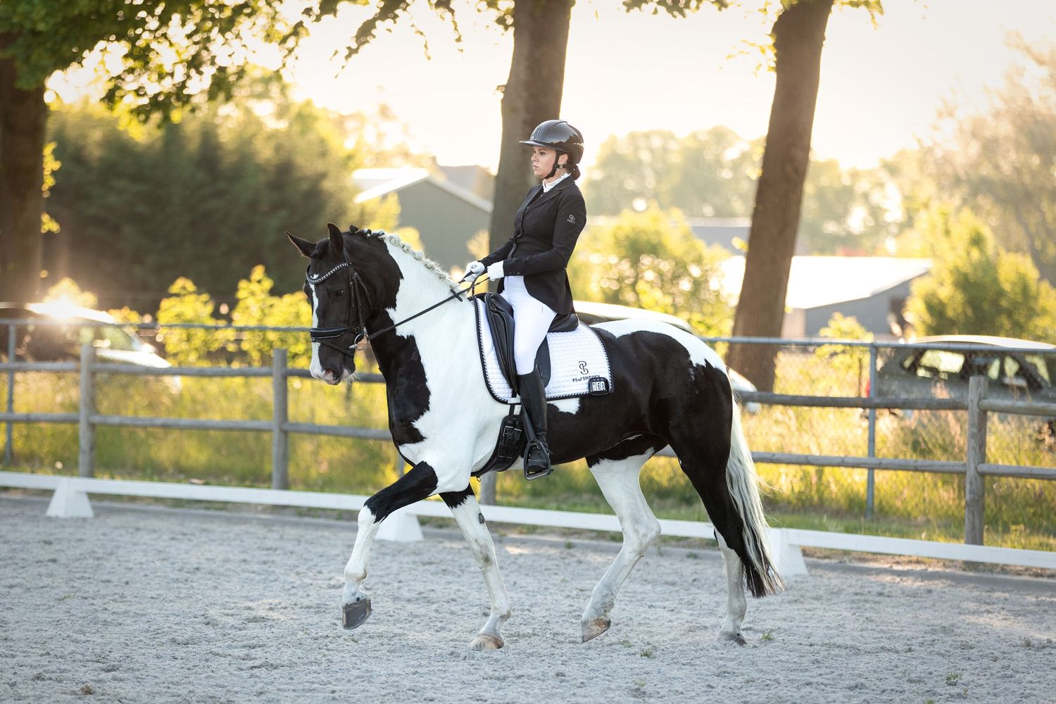 Paardenfotografie - Nadine Oostelbos Fotografie