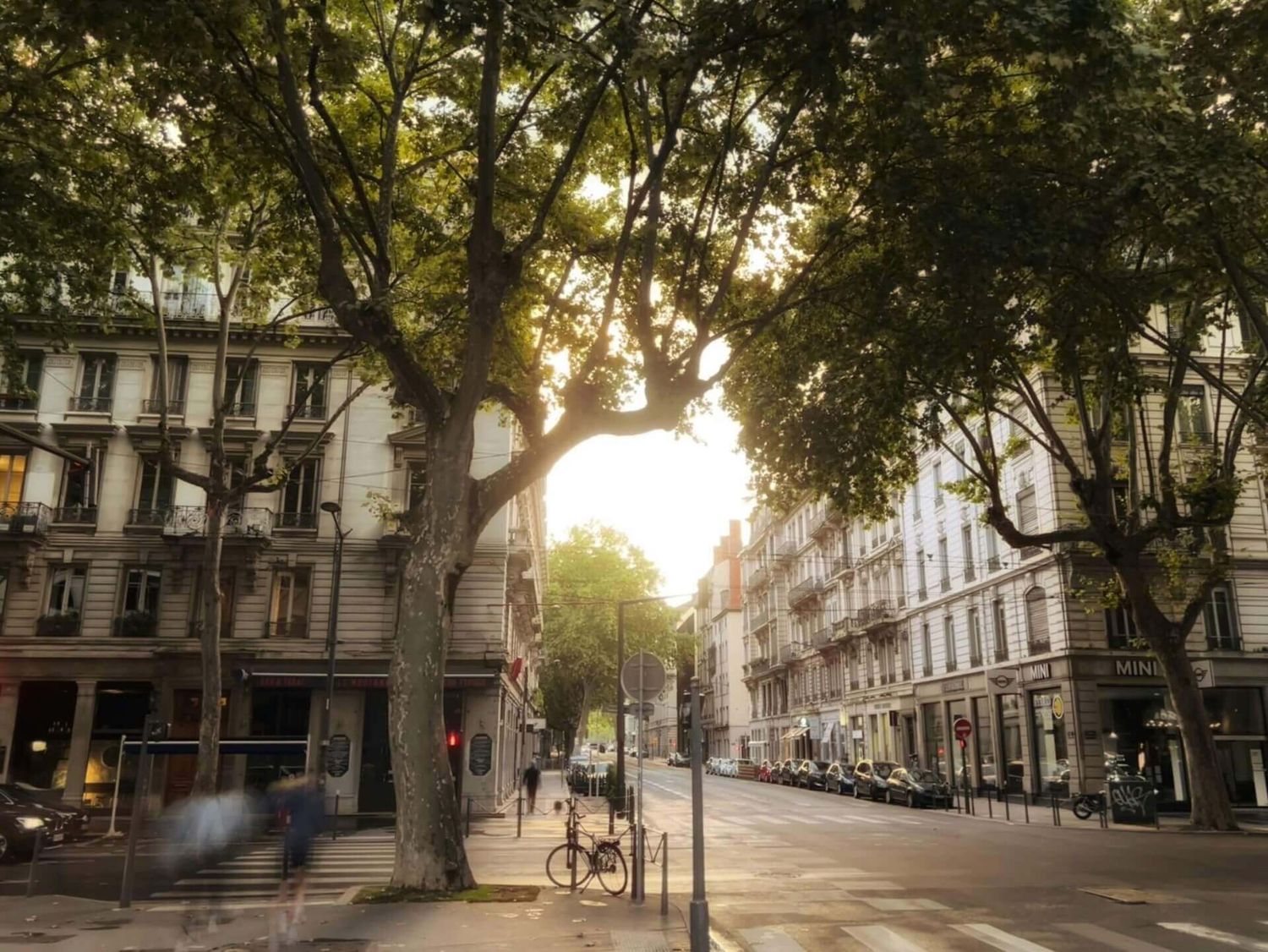 Von Bäumen gesäumte Pariser Strasse zur goldenen Stunde mit historischer Architektur und sanftem Sonnenlicht.