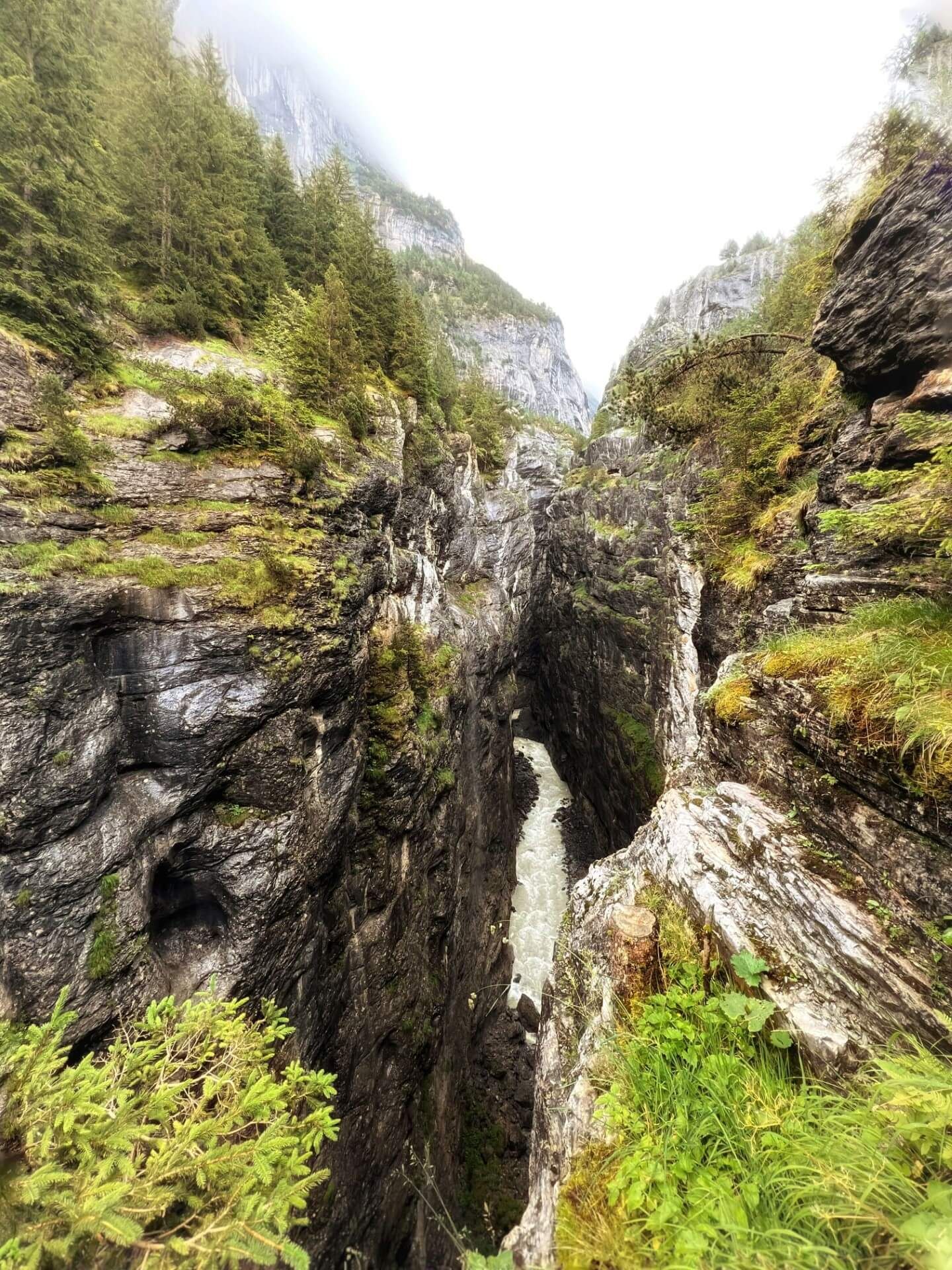 Massive Felswände die eine Schlucht bilden mit Wasserströmen, umgeben von üppiger grüner Vegetation.